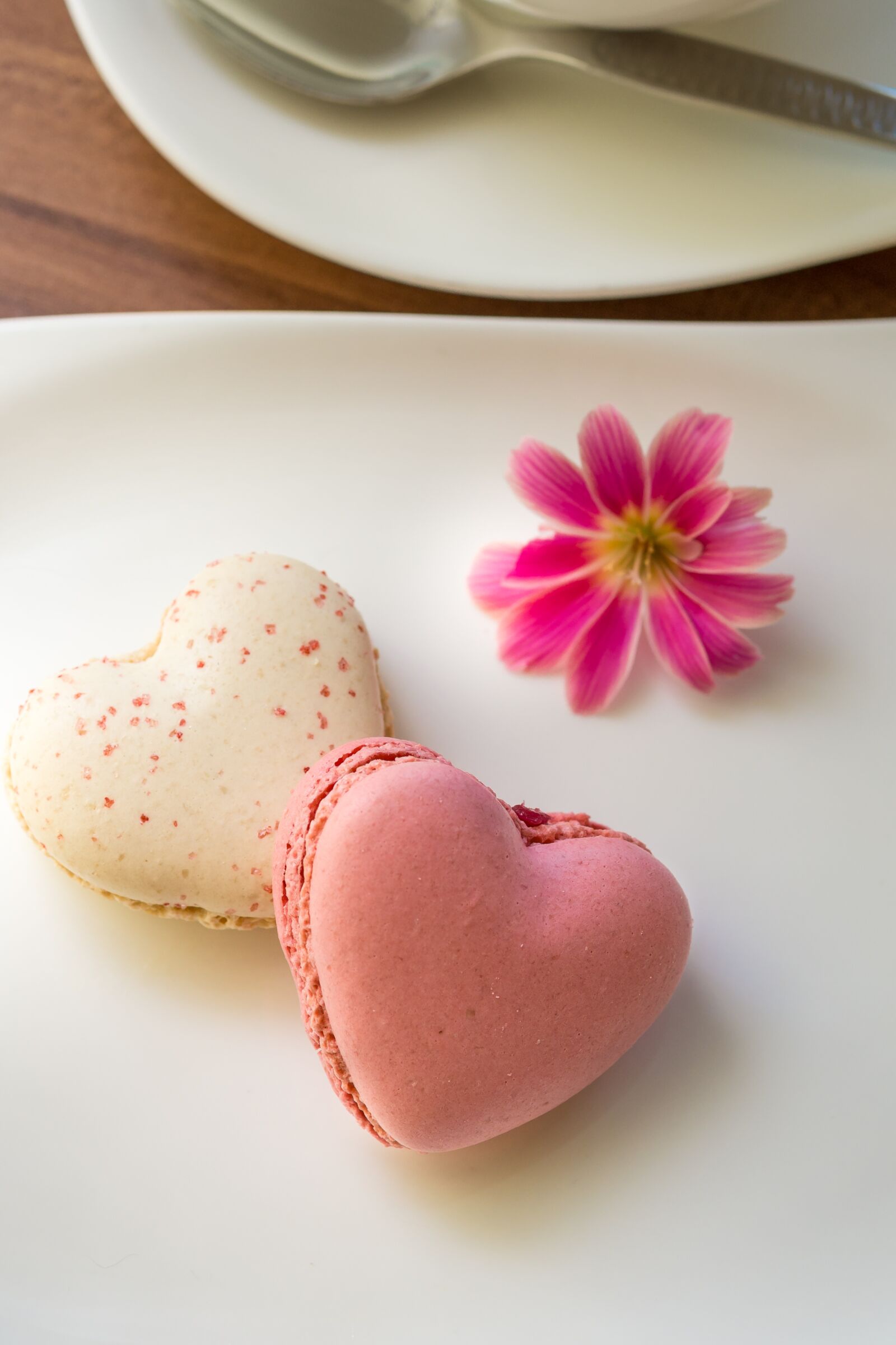 30mm F1.4 DC DN | Contemporary 016 sample photo. Macarons, heart shape, love photography