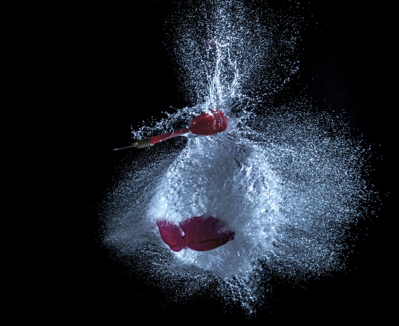 Nikon D700 sample photo. Balloon, water, dart photography