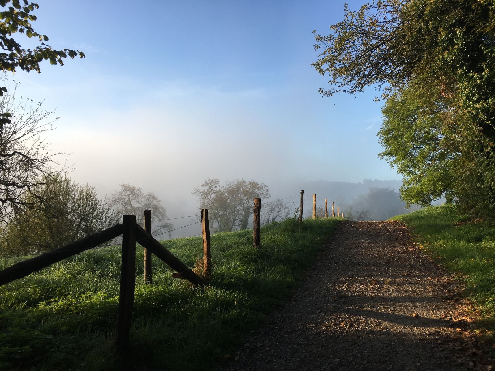 Apple iPhone 6s Plus sample photo. Autumn, fog, away photography