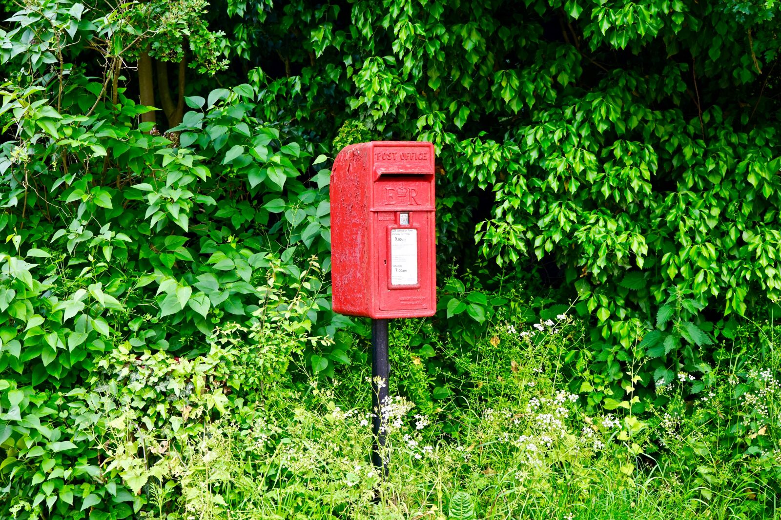 Sony a7 sample photo. Post box, red, post photography