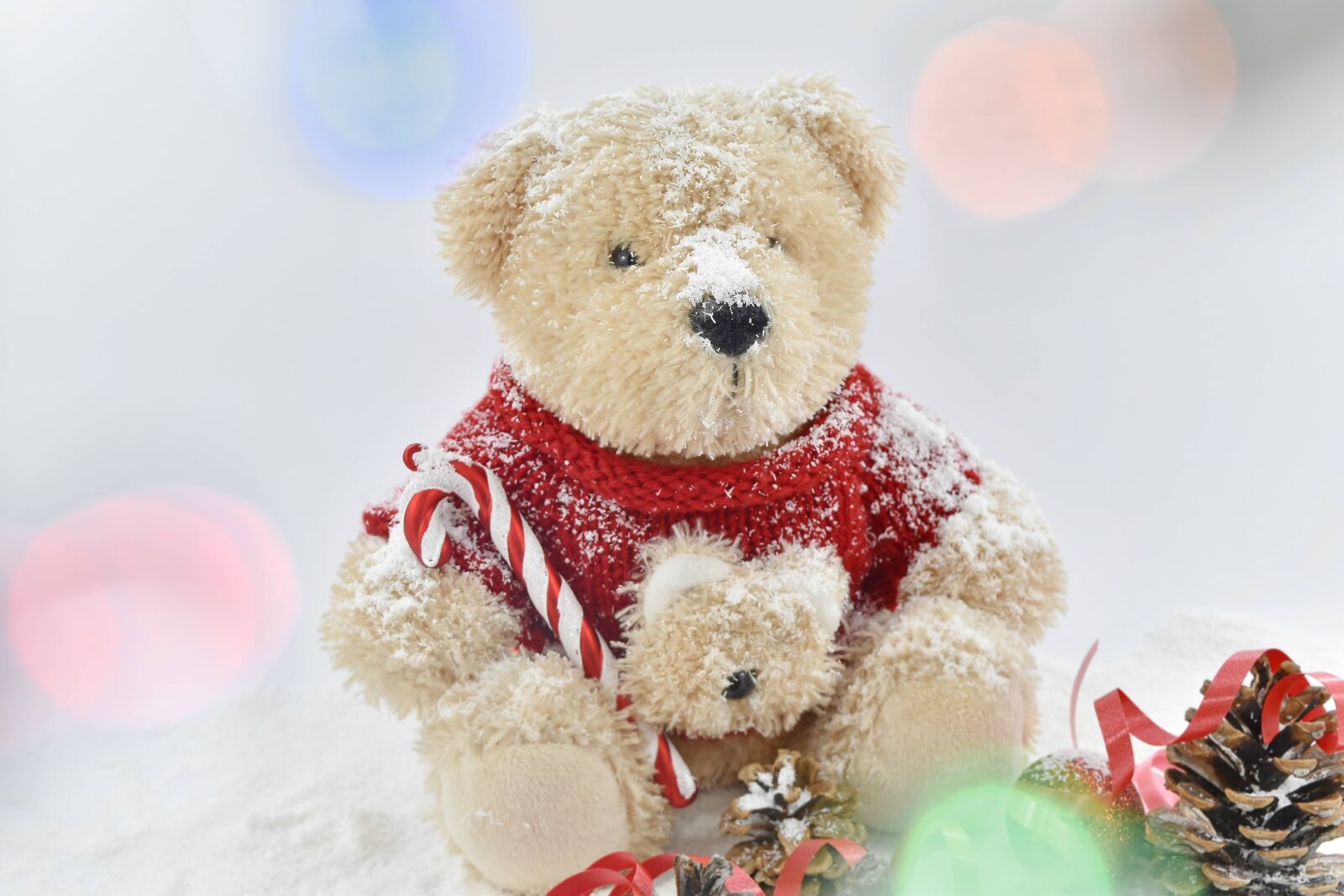 Nikon D5500 sample photo. Backlight, light, soft, stuffed photography