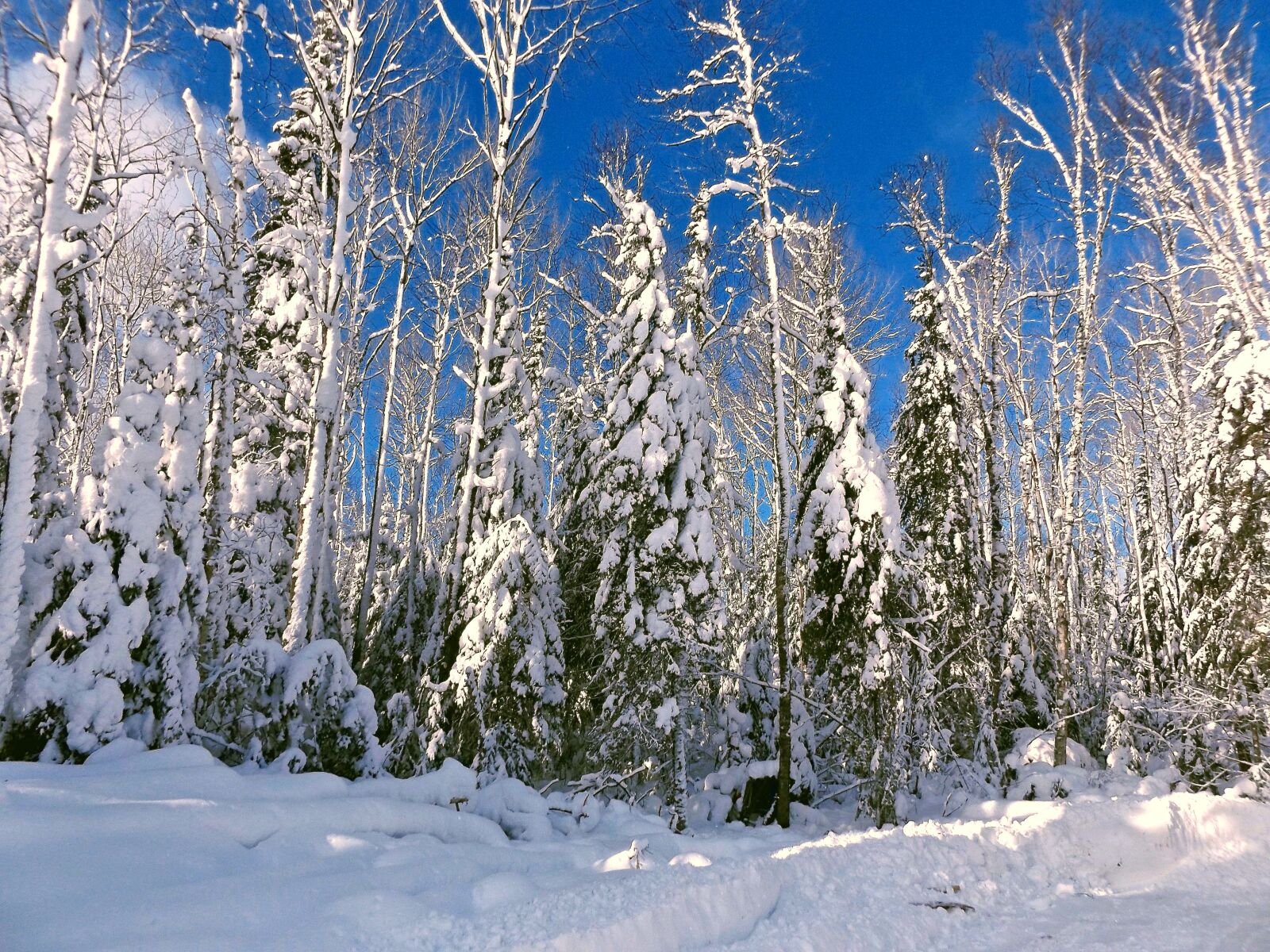 Fujifilm FinePix S8600 sample photo. Winter, snow, cold photography