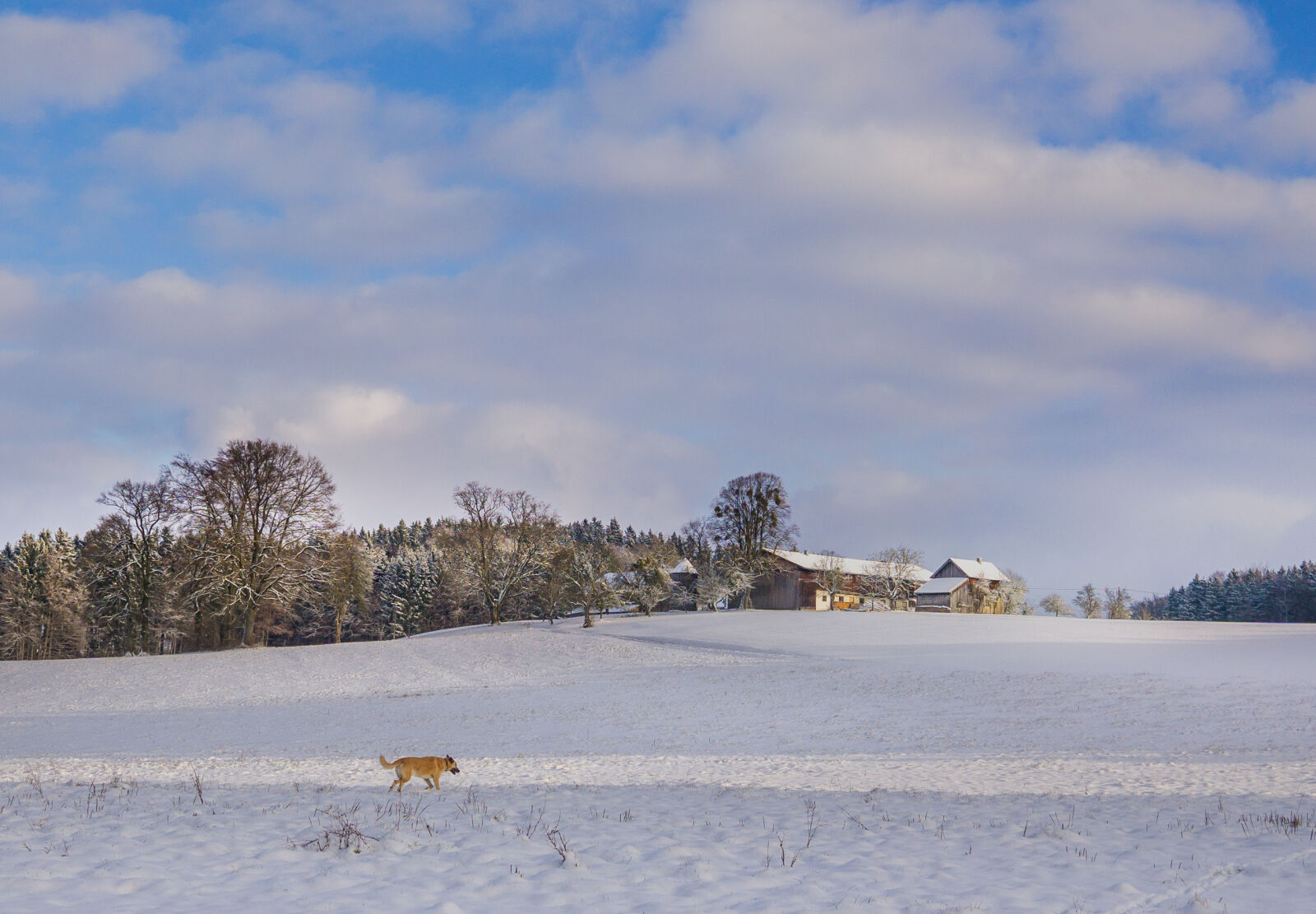 Sony a6000 + Sigma 19mm F2.8 EX DN sample photo. Bavaria, landscape photography