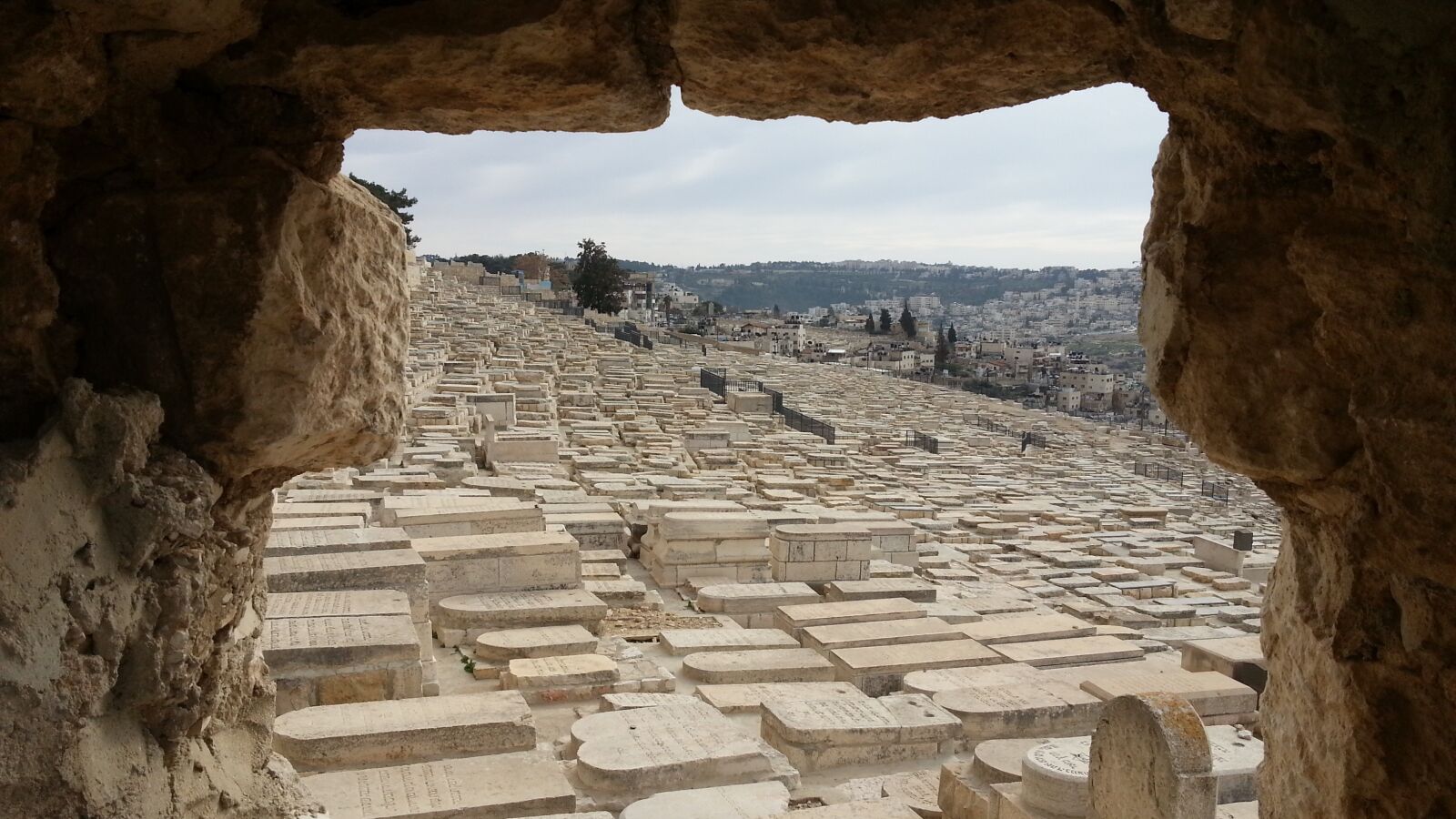 Samsung Galaxy Note2 sample photo. Israel, jerusalem, the mount photography