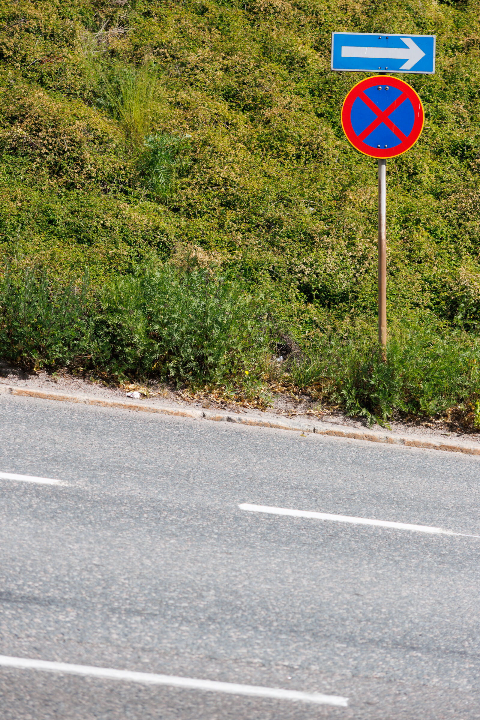 Canon EOS R7 sample photo. Sign over street photography