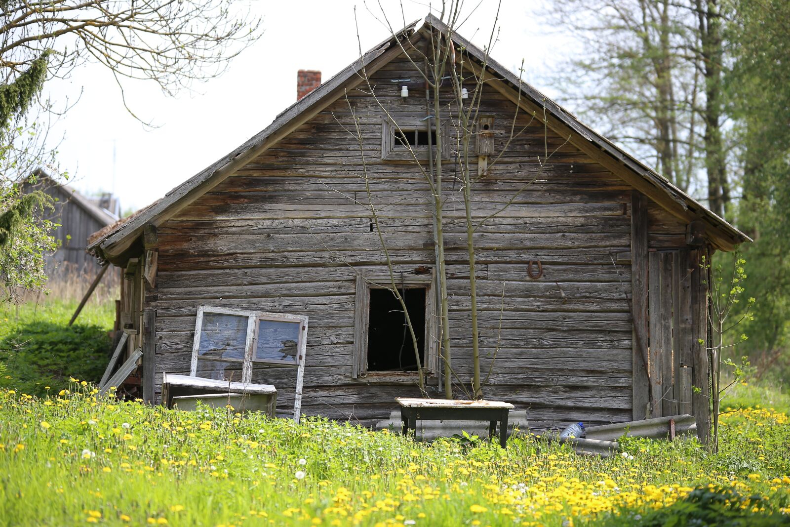 Canon EOS 6D sample photo. House, shack, old-house photography