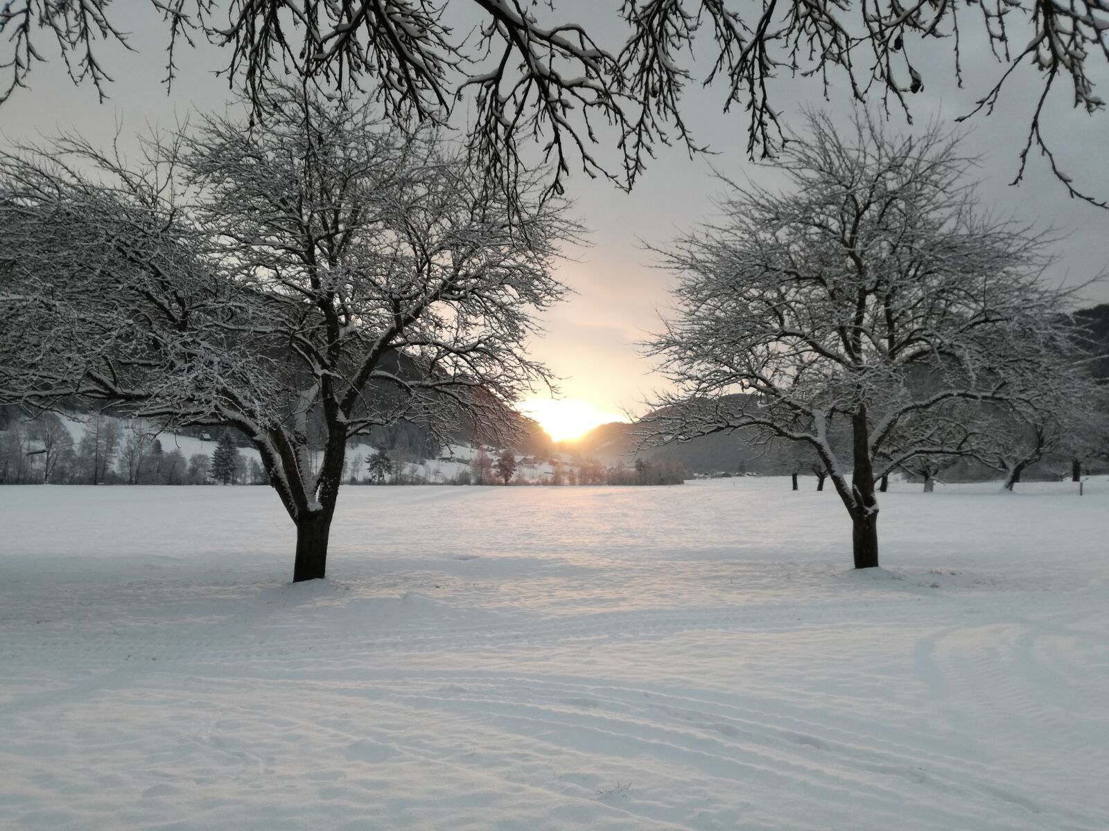 HUAWEI P9 LITE sample photo. Winter, landscape, white photography