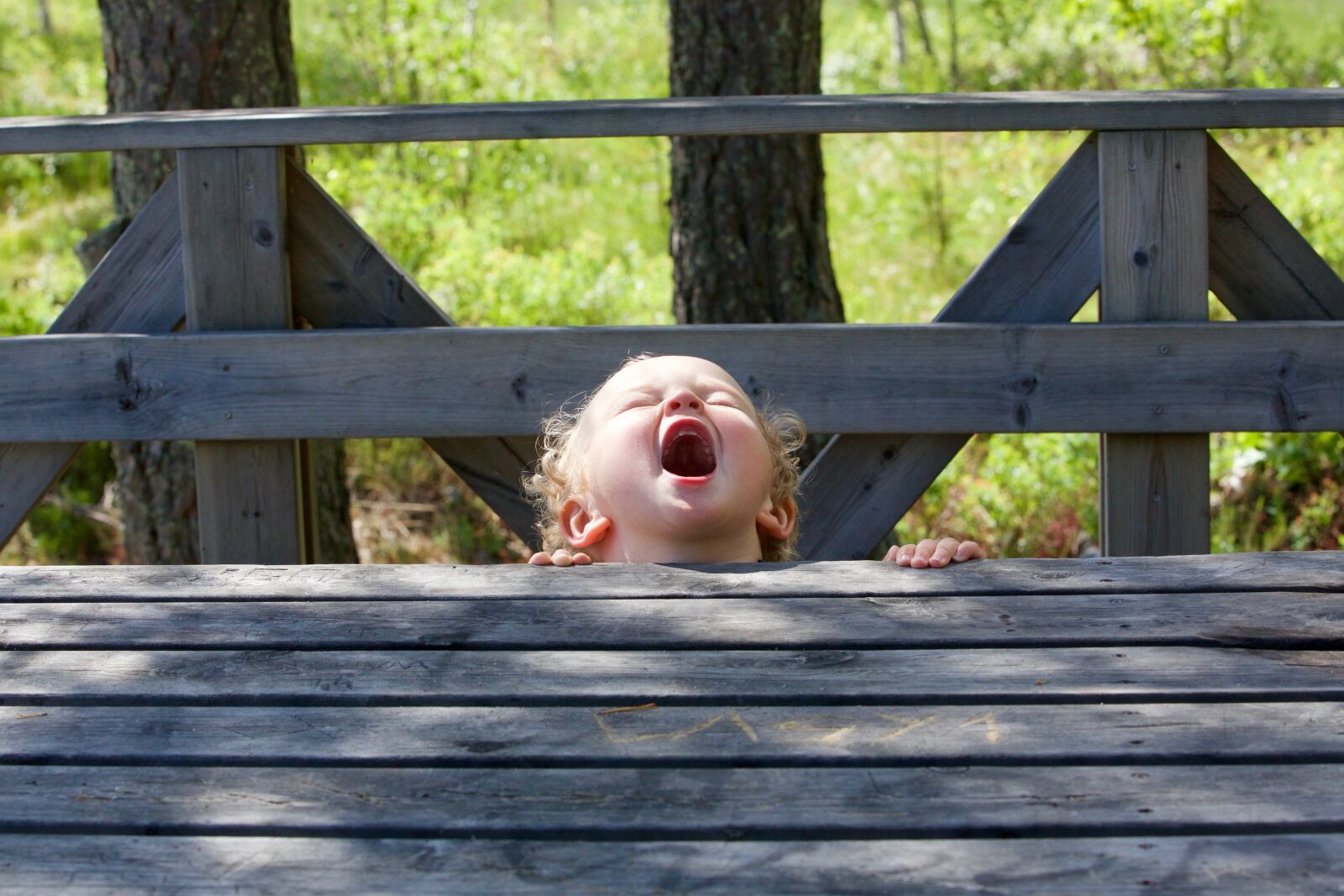 Canon EOS 5D Mark III sample photo. Screams of joy, child photography