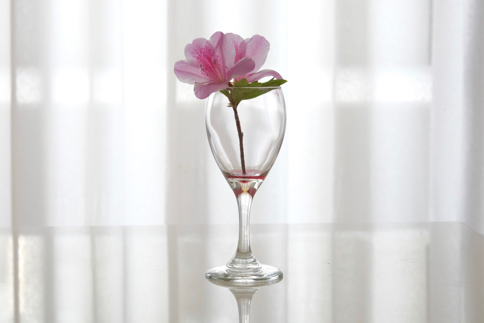 Fujifilm XF 55-200mm F3.5-4.8 R LM OIS sample photo. Flower, pink, grass photography