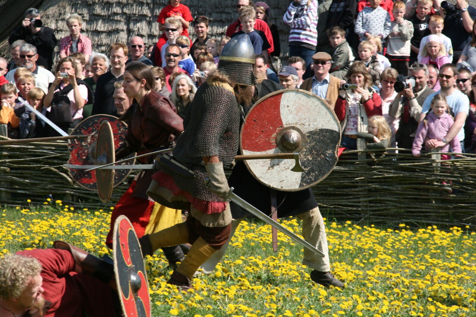 Sigma 18-200mm f/3.5-6.3 DC OS sample photo. Vikings photography