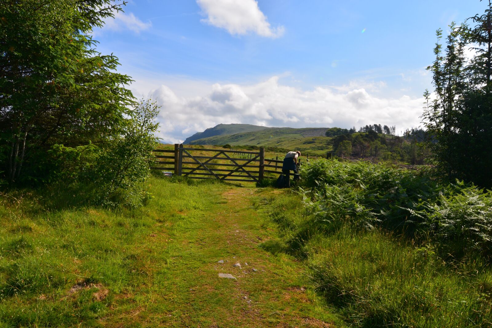 Nikon D7100 sample photo. The lake district, lake photography