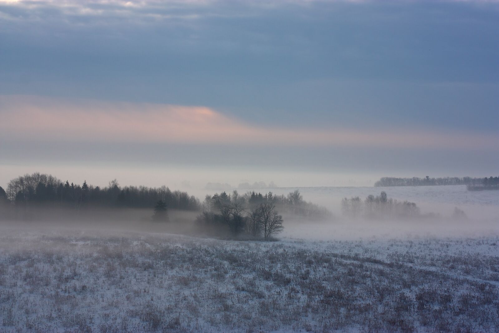 Canon EOS 450D (EOS Rebel XSi / EOS Kiss X2) sample photo. Morning, fog, winter photography