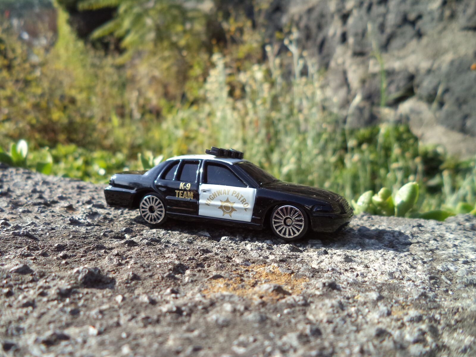 Sony Cyber-shot DSC-W710 sample photo. Diecast, ford, crown victoria photography