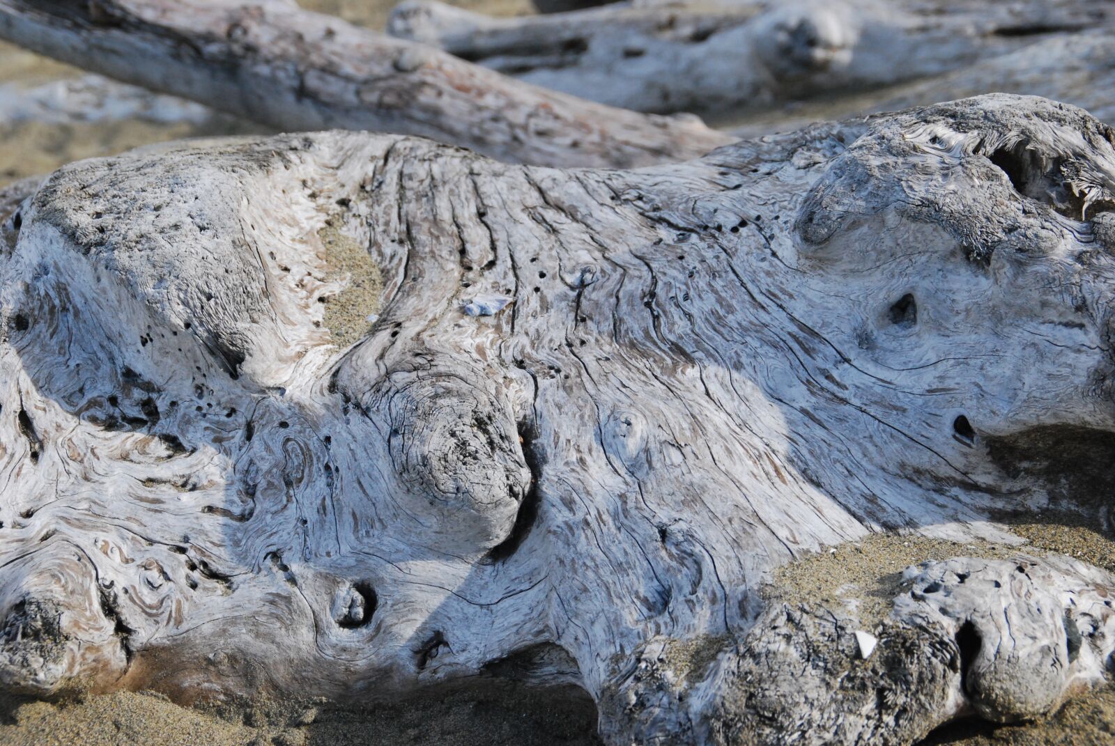 Nikon D60 sample photo. Wood, weathered, old photography