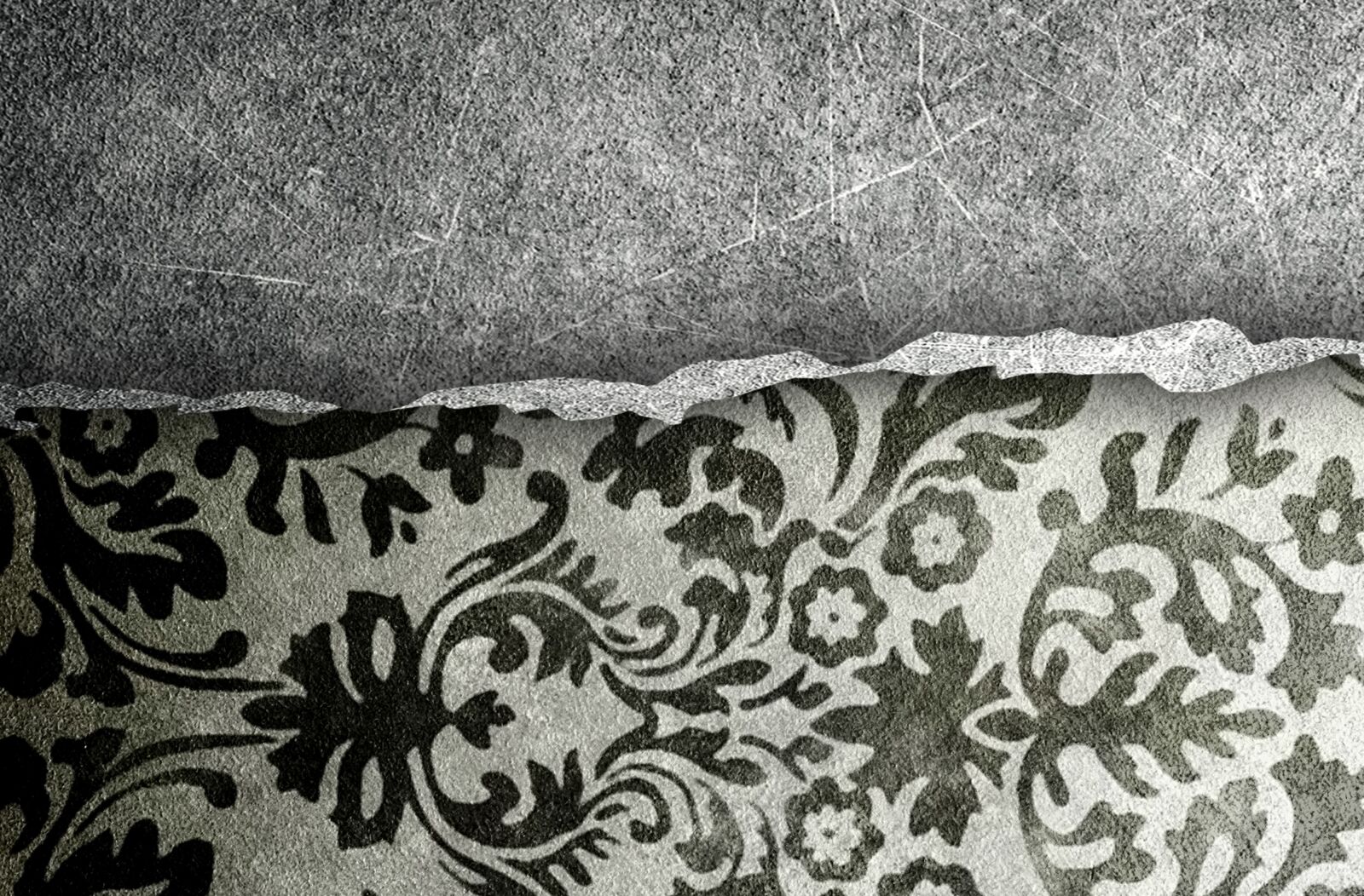 Nikon D700 sample photo. Texture, cement, flower photography