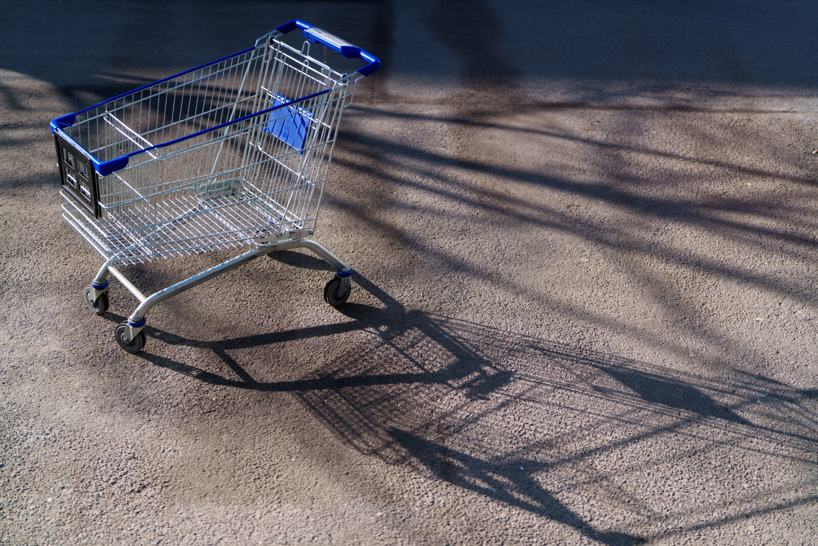 Sony FE 50mm F1.4 GM sample photo. The shopping cart of photography