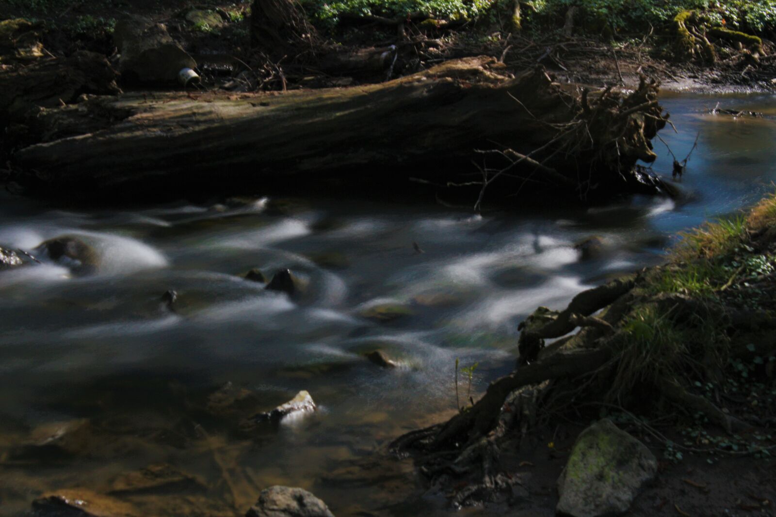 Canon EOS 700D (EOS Rebel T5i / EOS Kiss X7i) + Canon EF-S 18-55mm F3.5-5.6 IS sample photo. Water, soft, forest photography