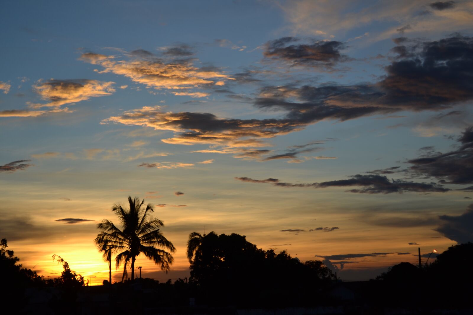 Nikon D3100 sample photo. Twilight uberl ndia, afternoon photography