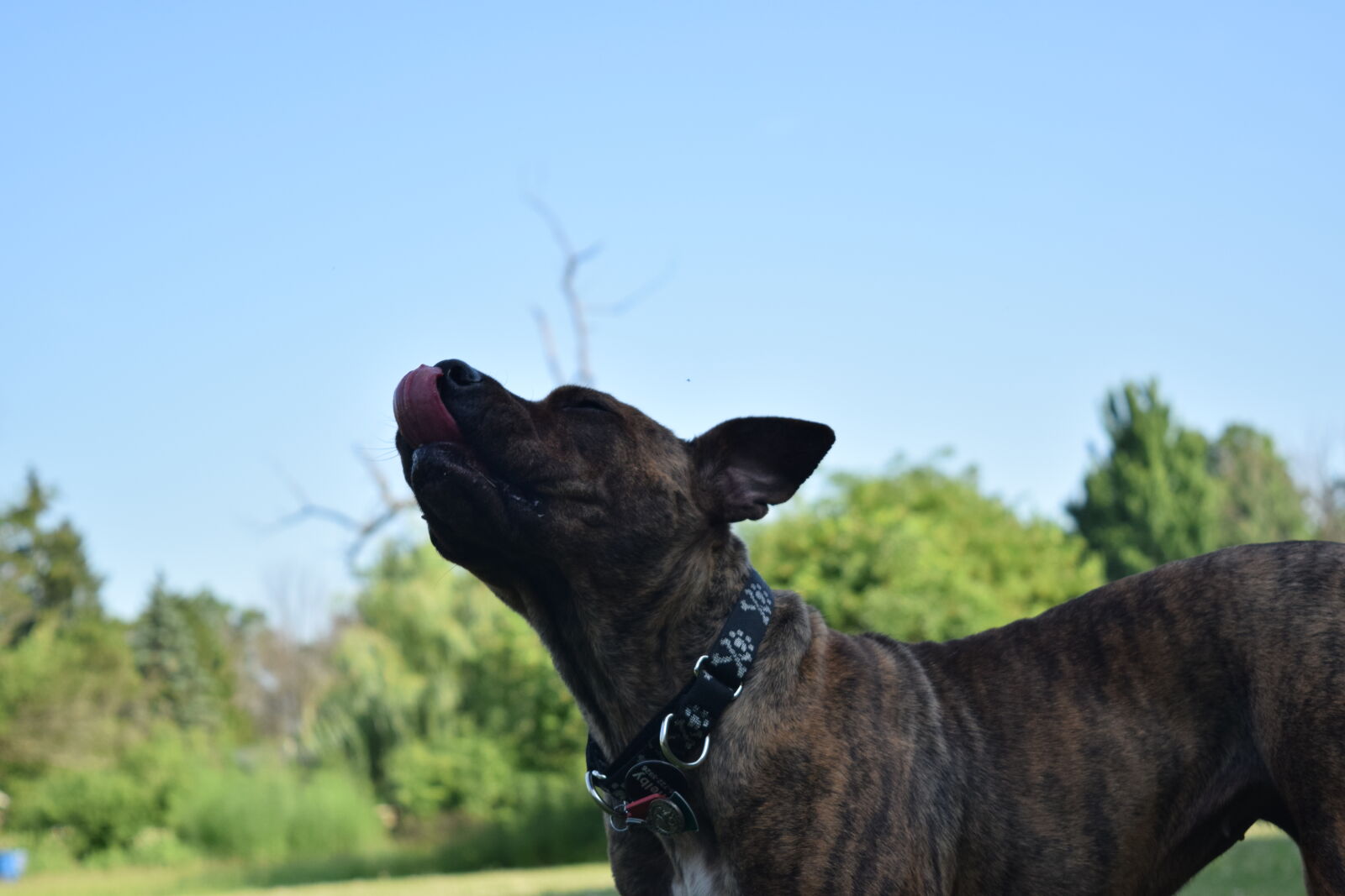 Nikon D3300 sample photo