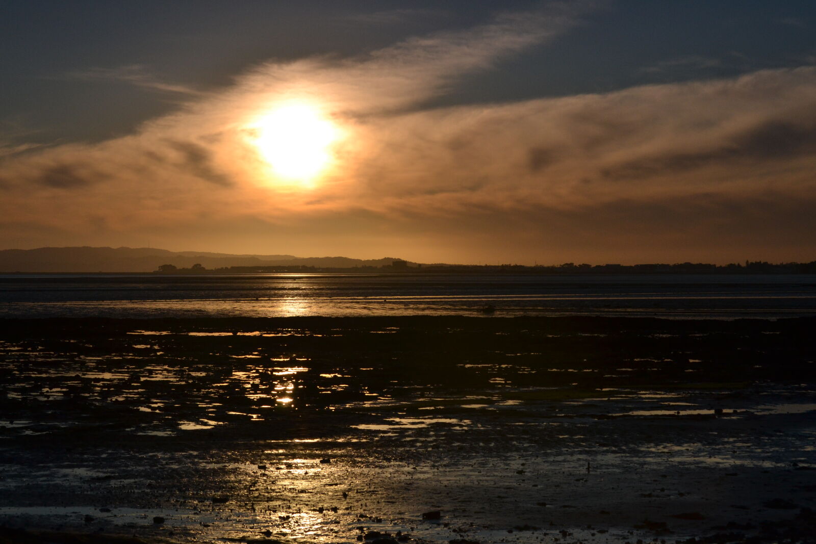Nikon D3100 sample photo. Beach, golden, hour, manukau photography