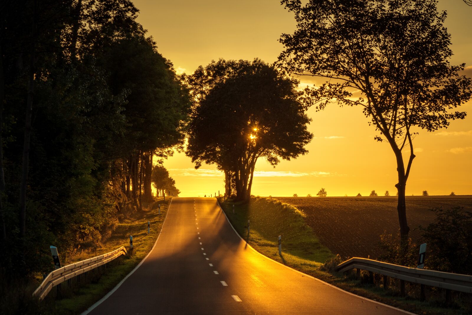 Nikon D7200 sample photo. Road, sunset, backlighting photography