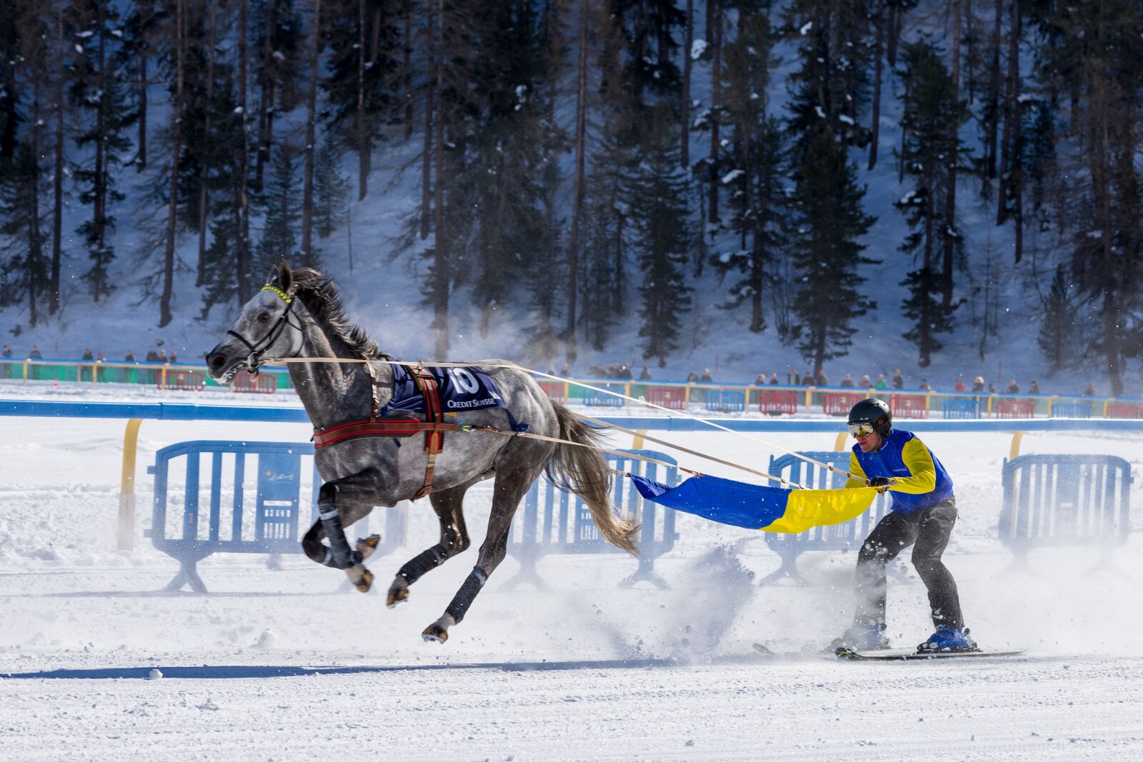 Canon EOS 6D Mark II sample photo. White turf, horse racing photography