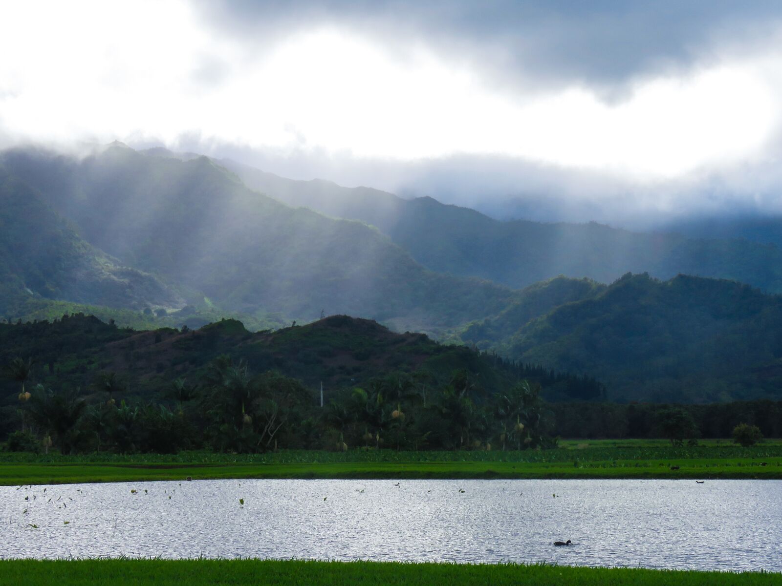 Canon PowerShot SX60 HS sample photo. Hanalei, kauai, hawaiian island photography