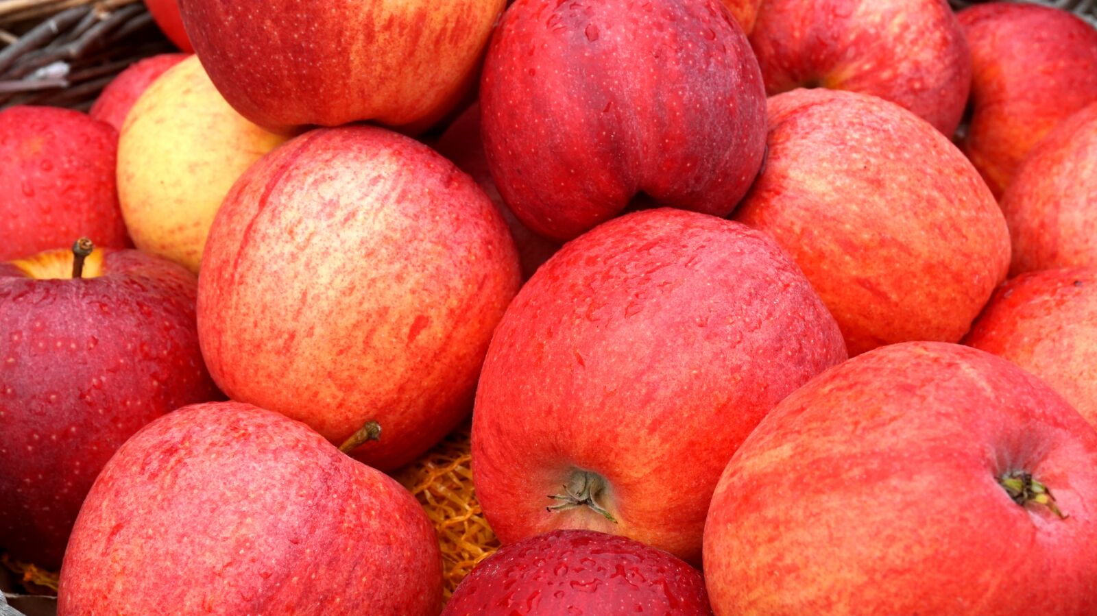 Sony Alpha a5000 (ILCE 5000) sample photo. Apple, red, ripe photography