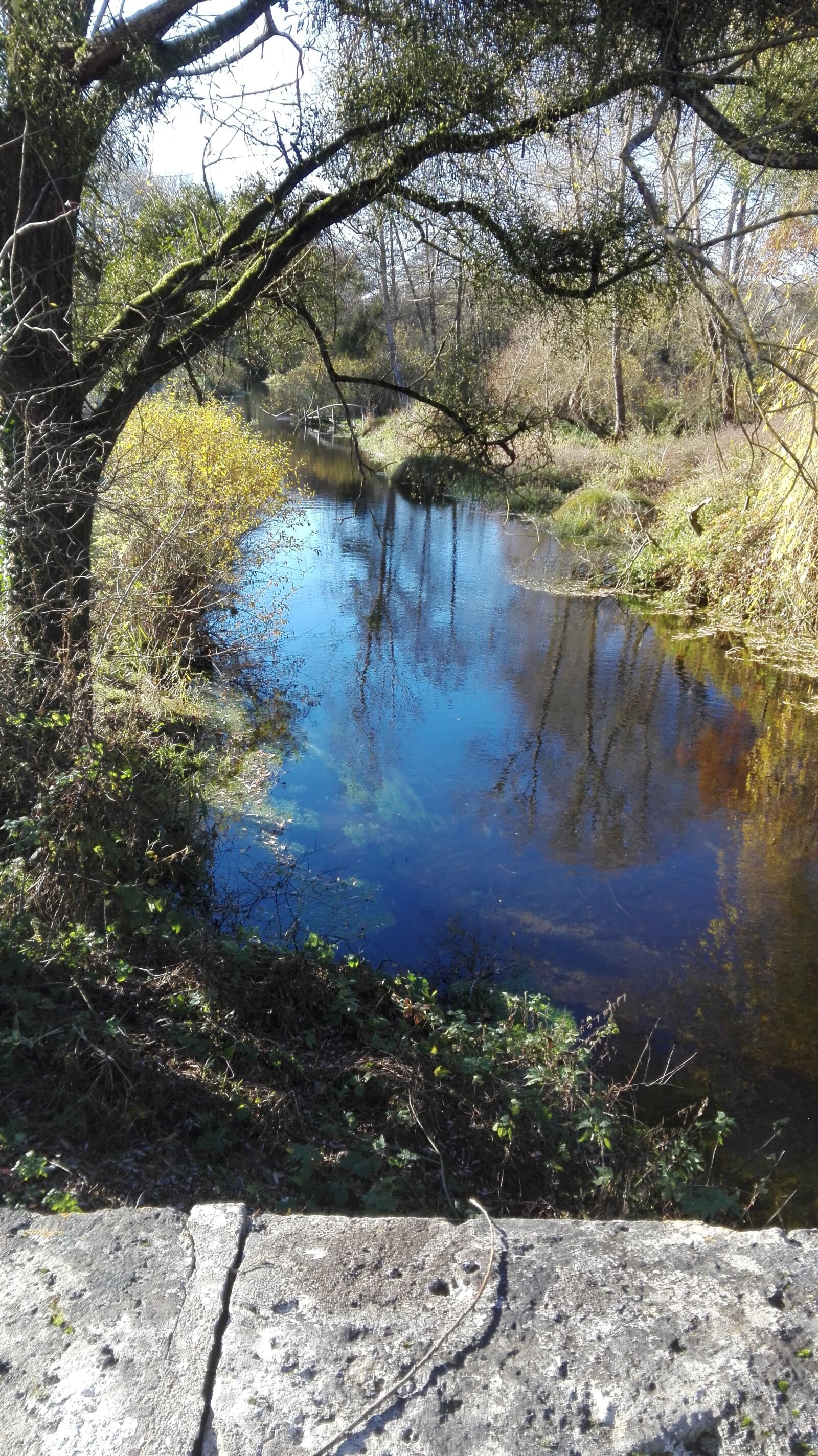 HUAWEI P8 Lite sample photo. Rivière, la, conie photography