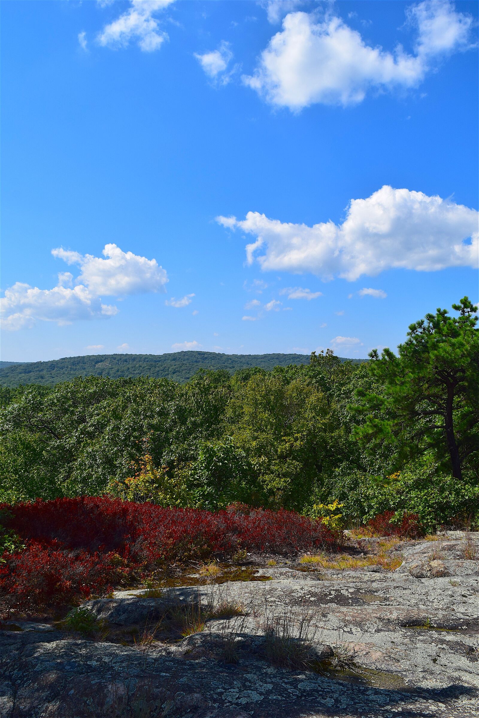 Nikon D3300 sample photo. Mountain top, trees, sky photography