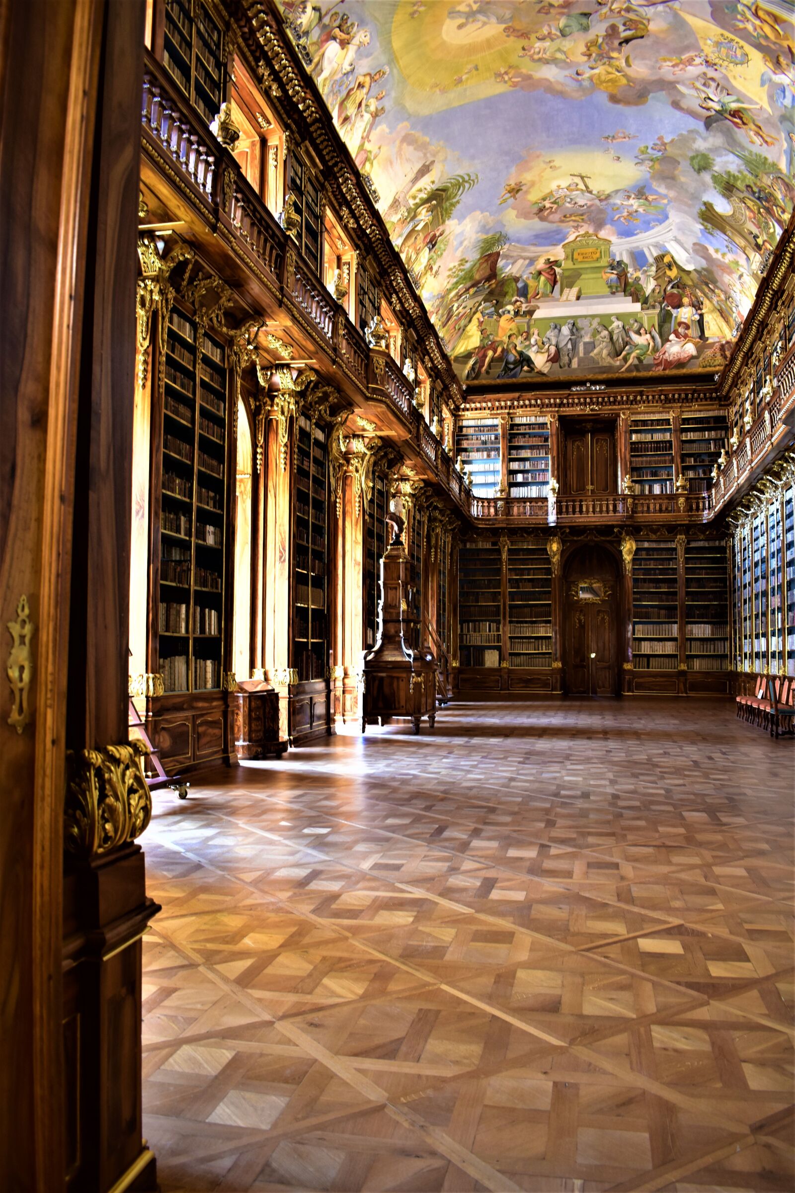 Nikon D5500 sample photo. Library, historical, painting photography