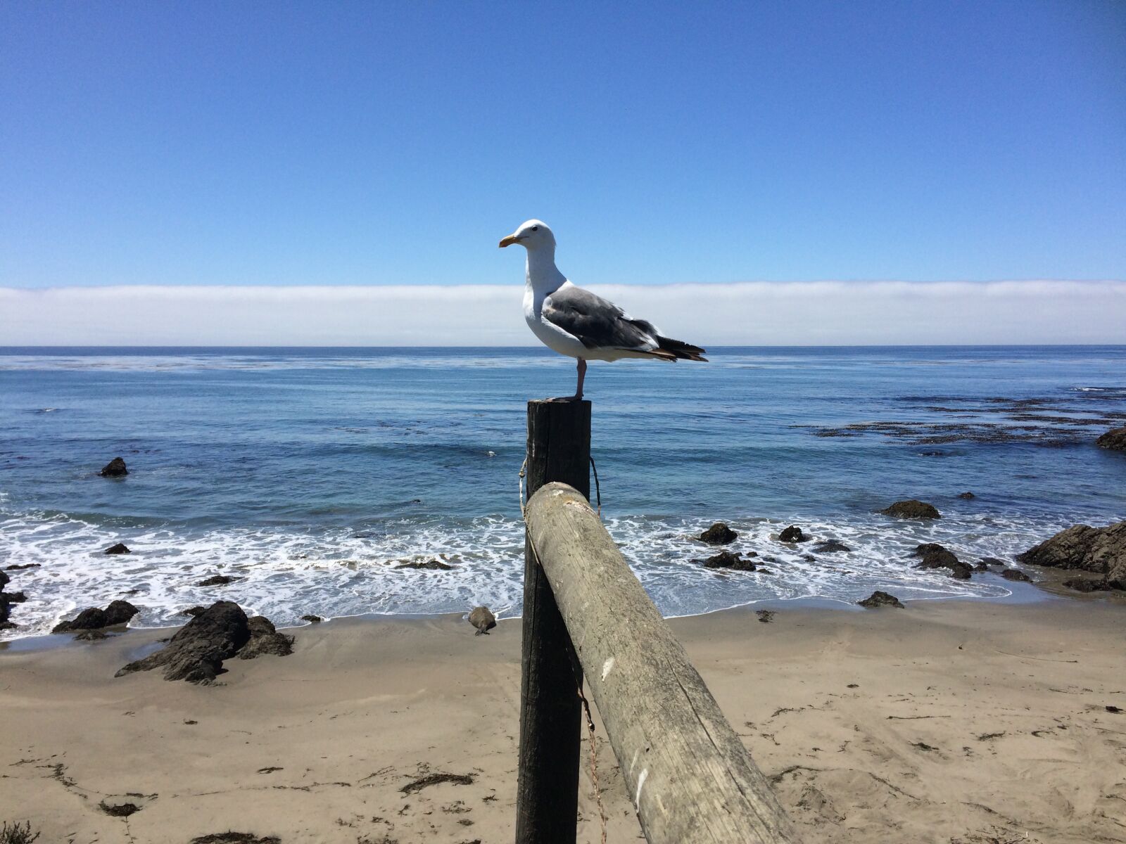 iPhone 5s back camera 4.15mm f/2.2 sample photo. California, coast, beach photography