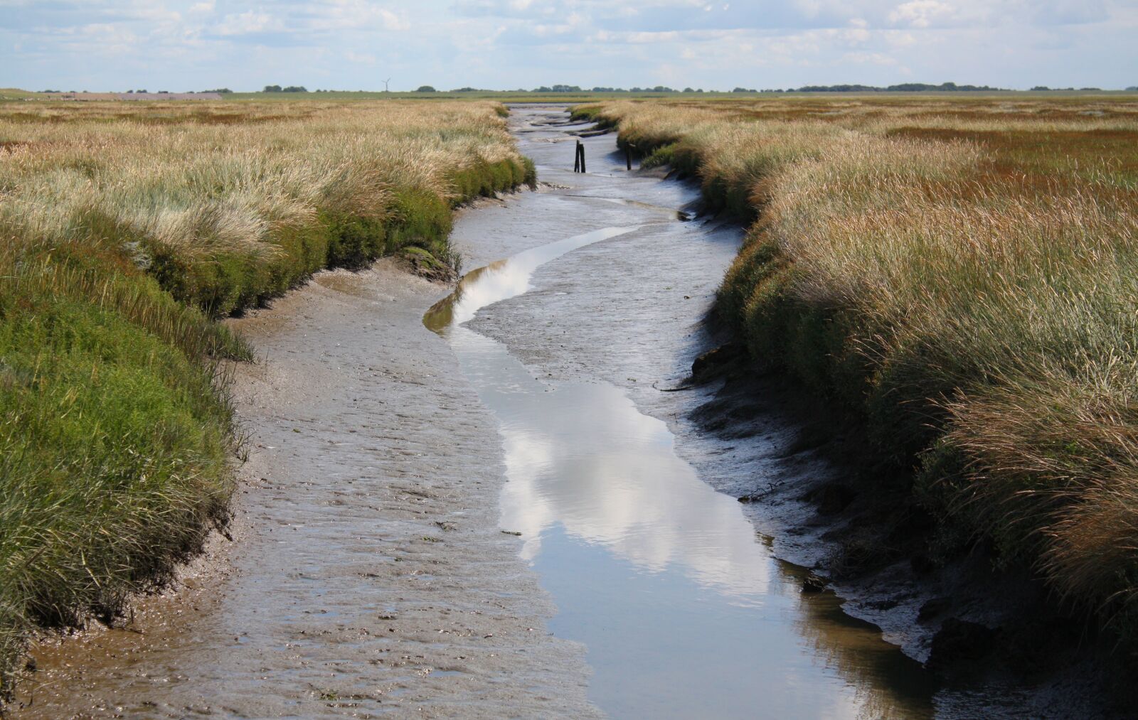 Canon EOS 450D (EOS Rebel XSi / EOS Kiss X2) sample photo. Salt meadow landscape, nordfriesland photography