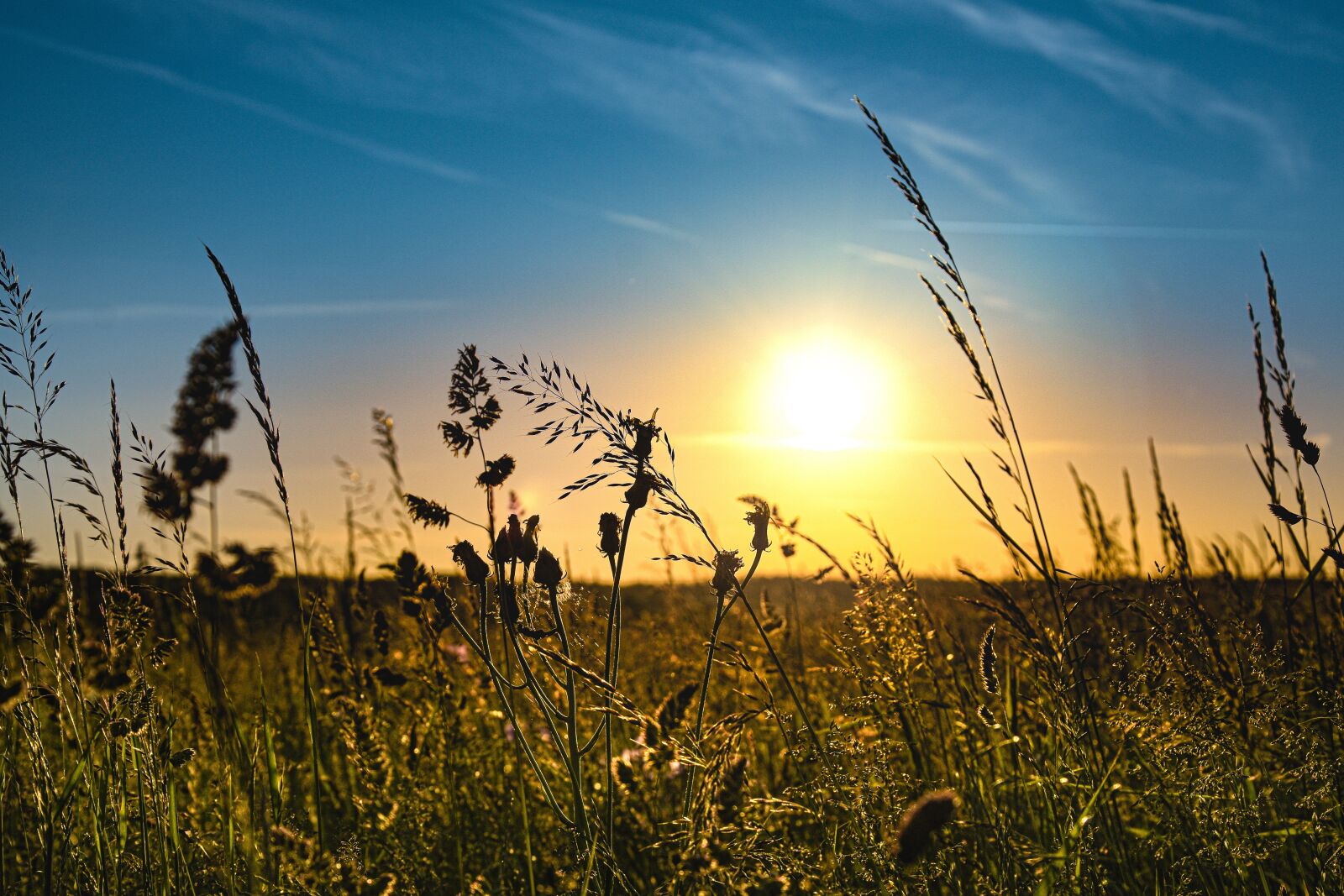 Nikon D7200 sample photo. Sunset, field, sky photography