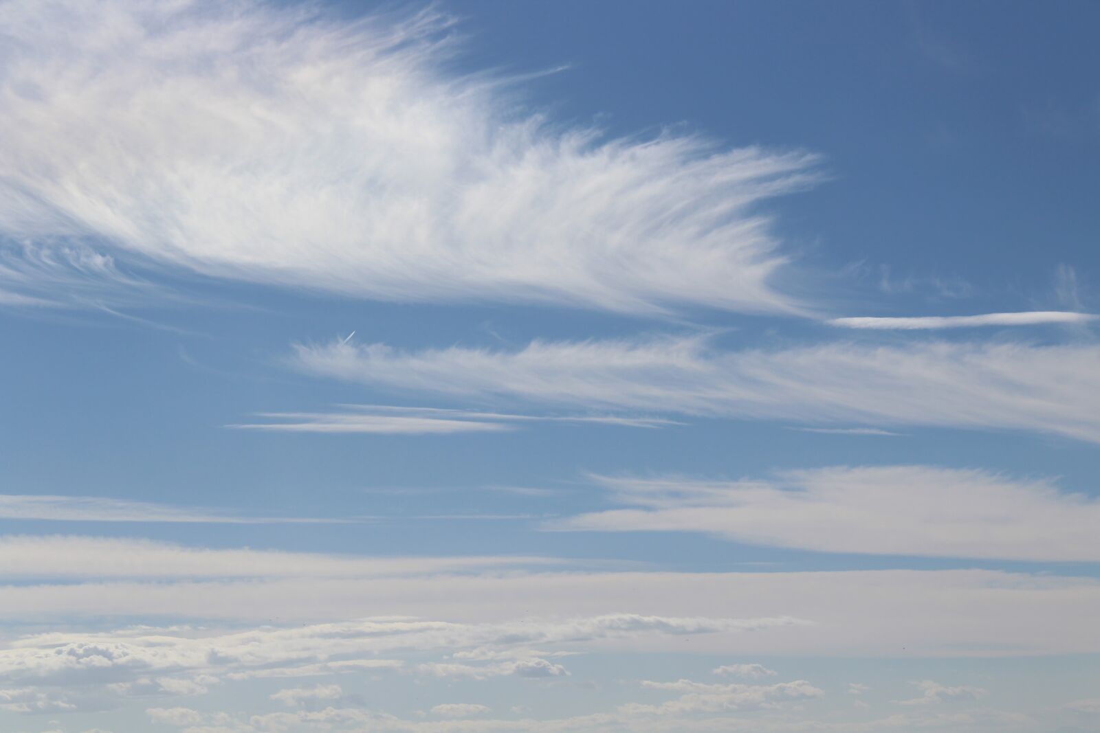 Canon EOS 1200D (EOS Rebel T5 / EOS Kiss X70 / EOS Hi) sample photo. View sky with puffs photography