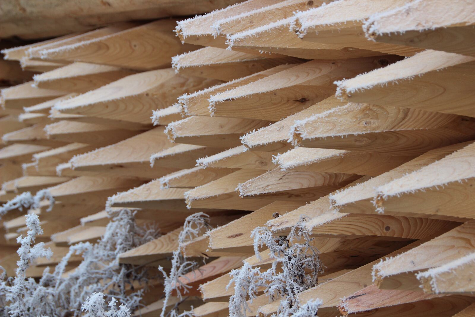 Canon EOS 600D (Rebel EOS T3i / EOS Kiss X5) sample photo. Wood, fence posts, pointed photography
