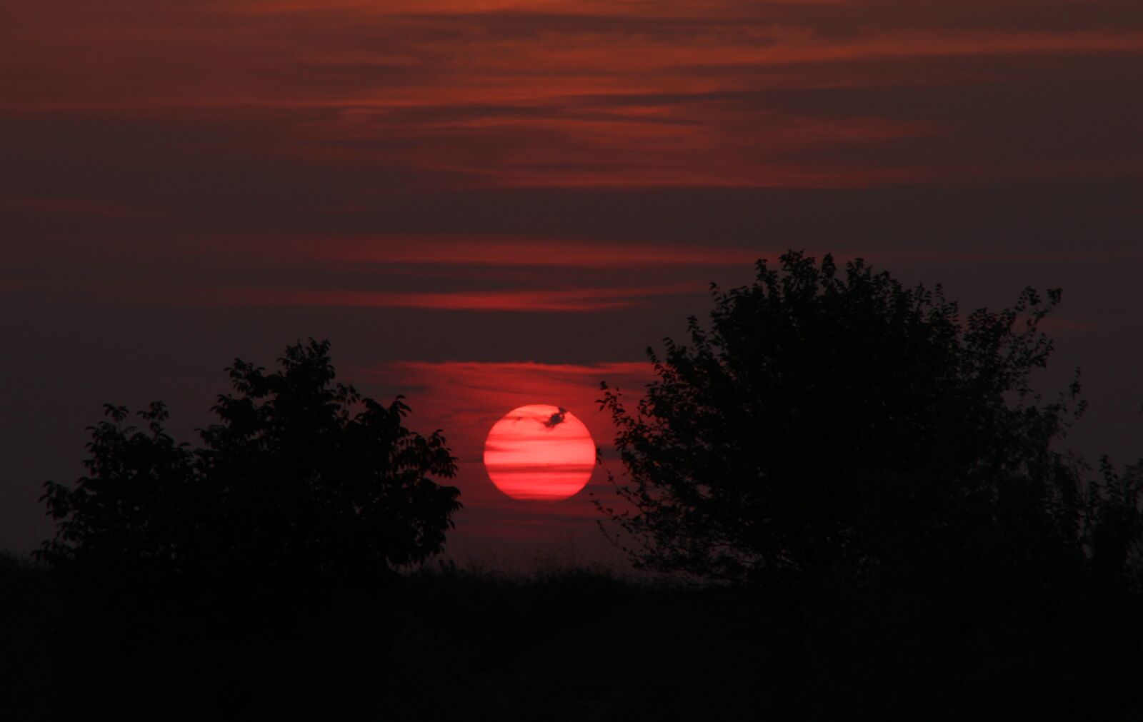 Canon EOS 700D (EOS Rebel T5i / EOS Kiss X7i) sample photo. Sunset, sky, cloud photography
