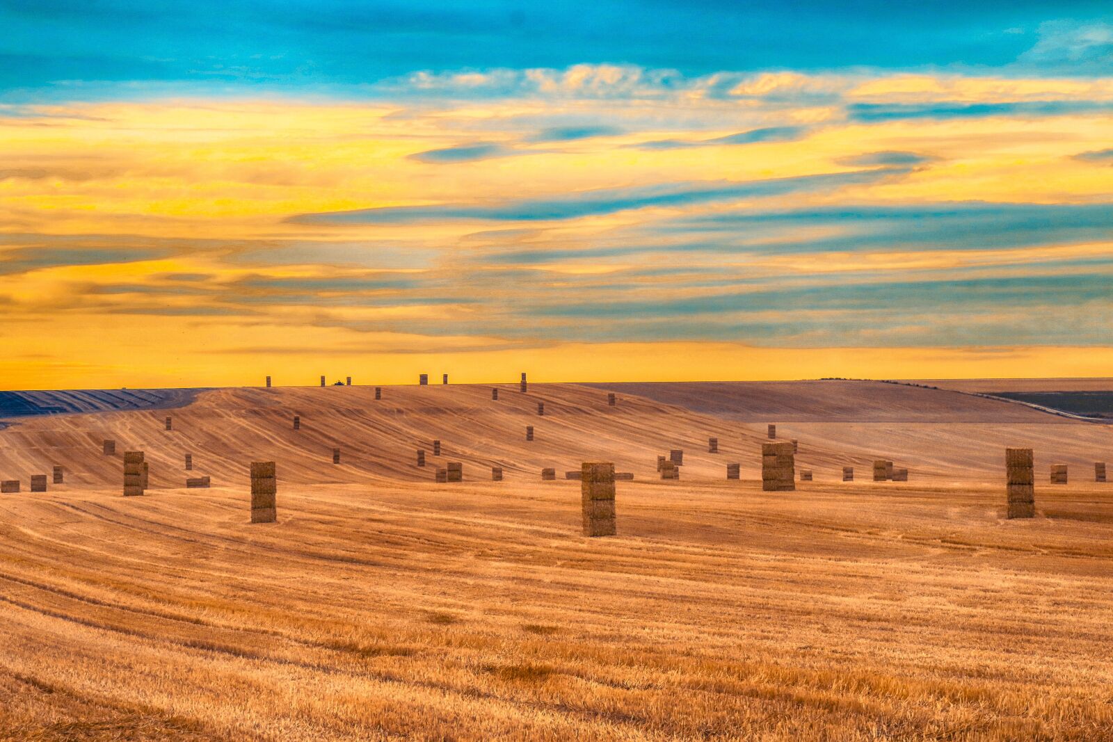 Canon EOS 70D sample photo. Landscape, straw, bed-of-sun photography