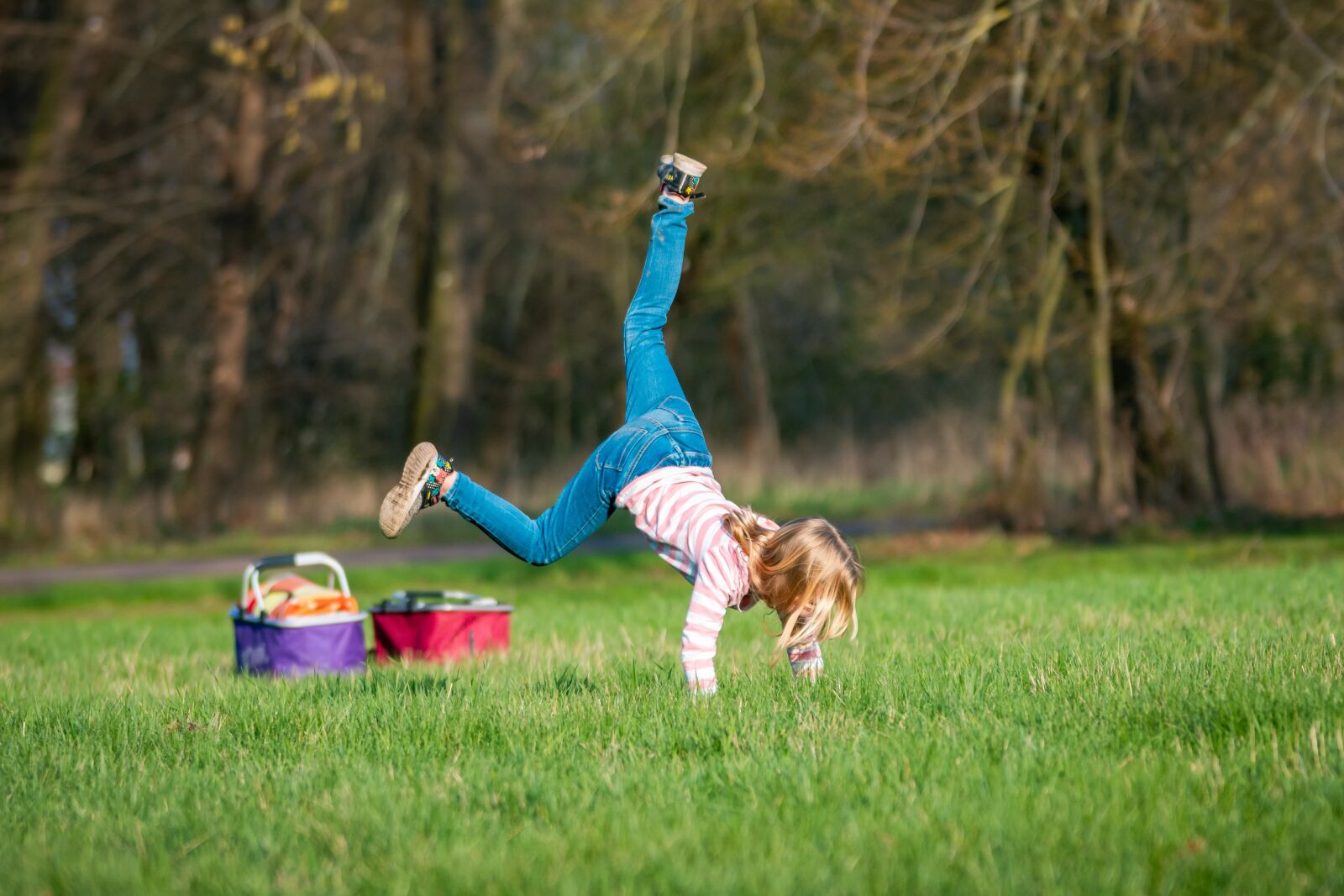 Nikon D7200 sample photo. Child, play, meadow photography