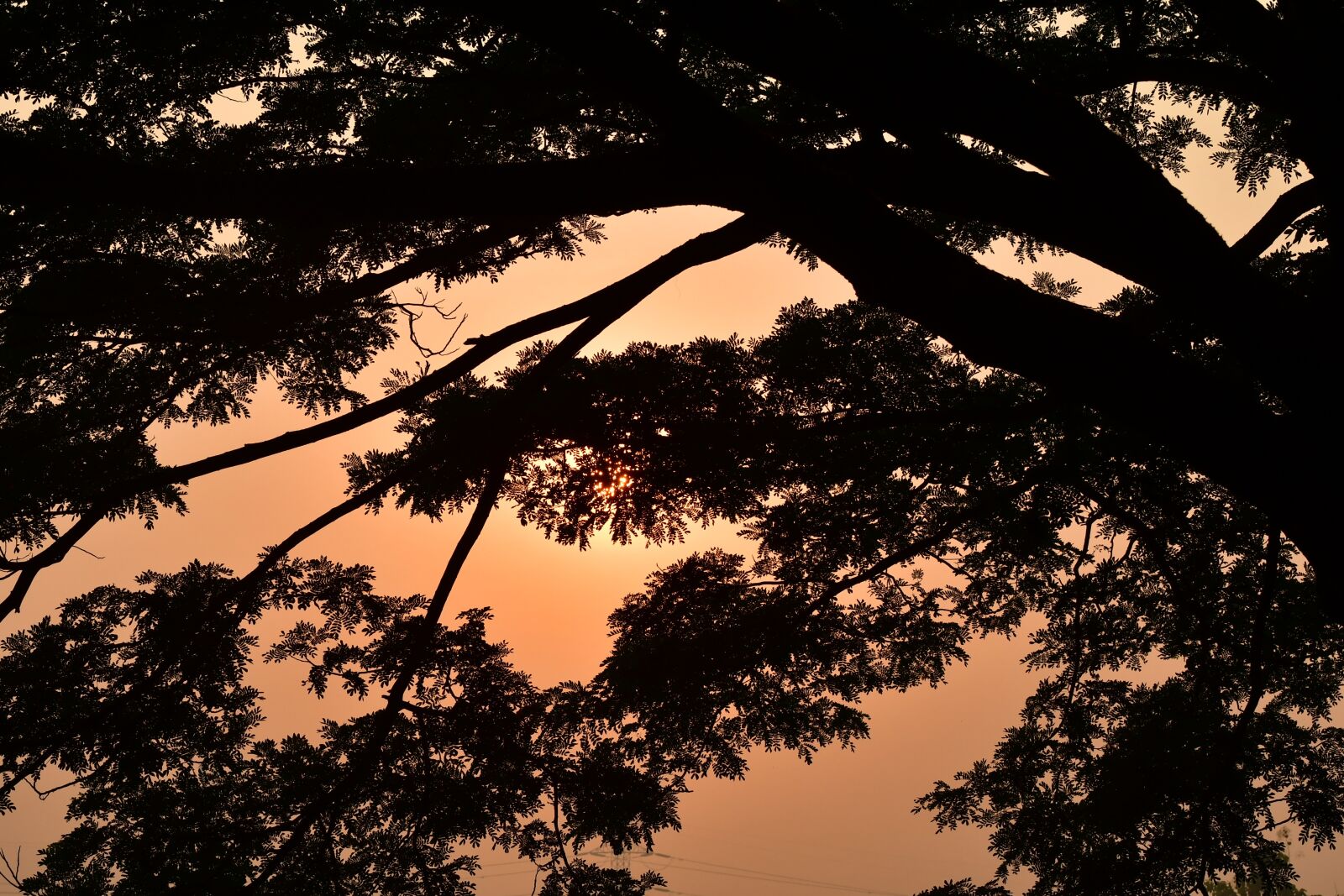 Nikon D500 sample photo. Morning, silhouetted, sunrise photography