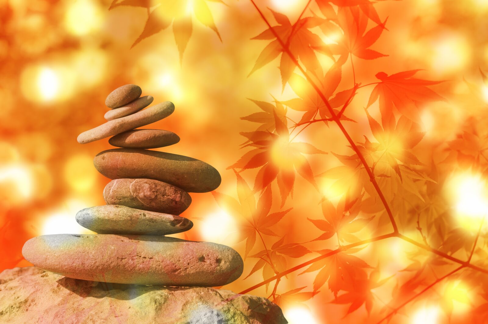 Nikon D90 sample photo. Meditation, balance, rest photography