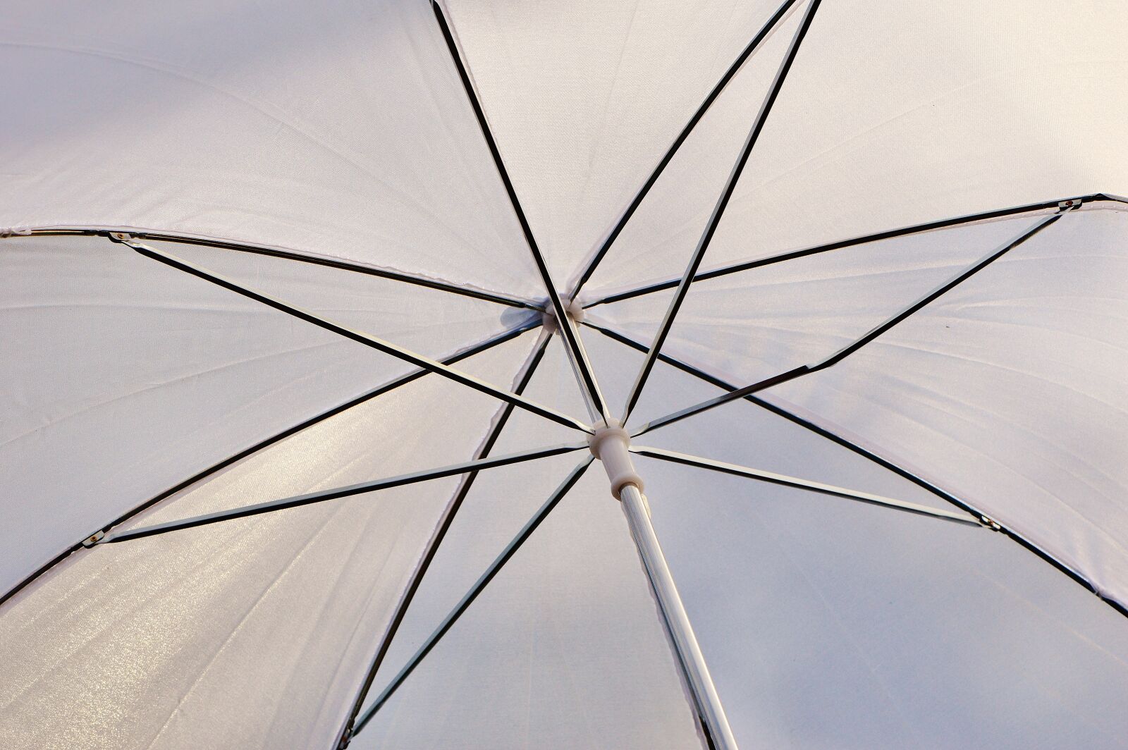 Nikon D3200 sample photo. Parasol, screen, sun photography
