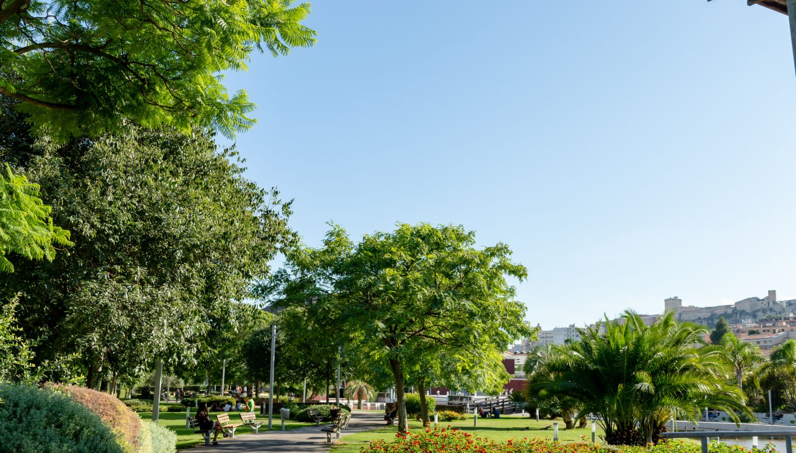 Nikon D3200 sample photo. Tree, grass, city photography
