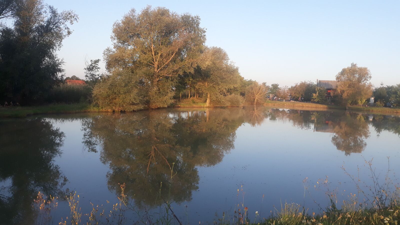 Samsung Galaxy J5 sample photo. Tree, water, pond photography