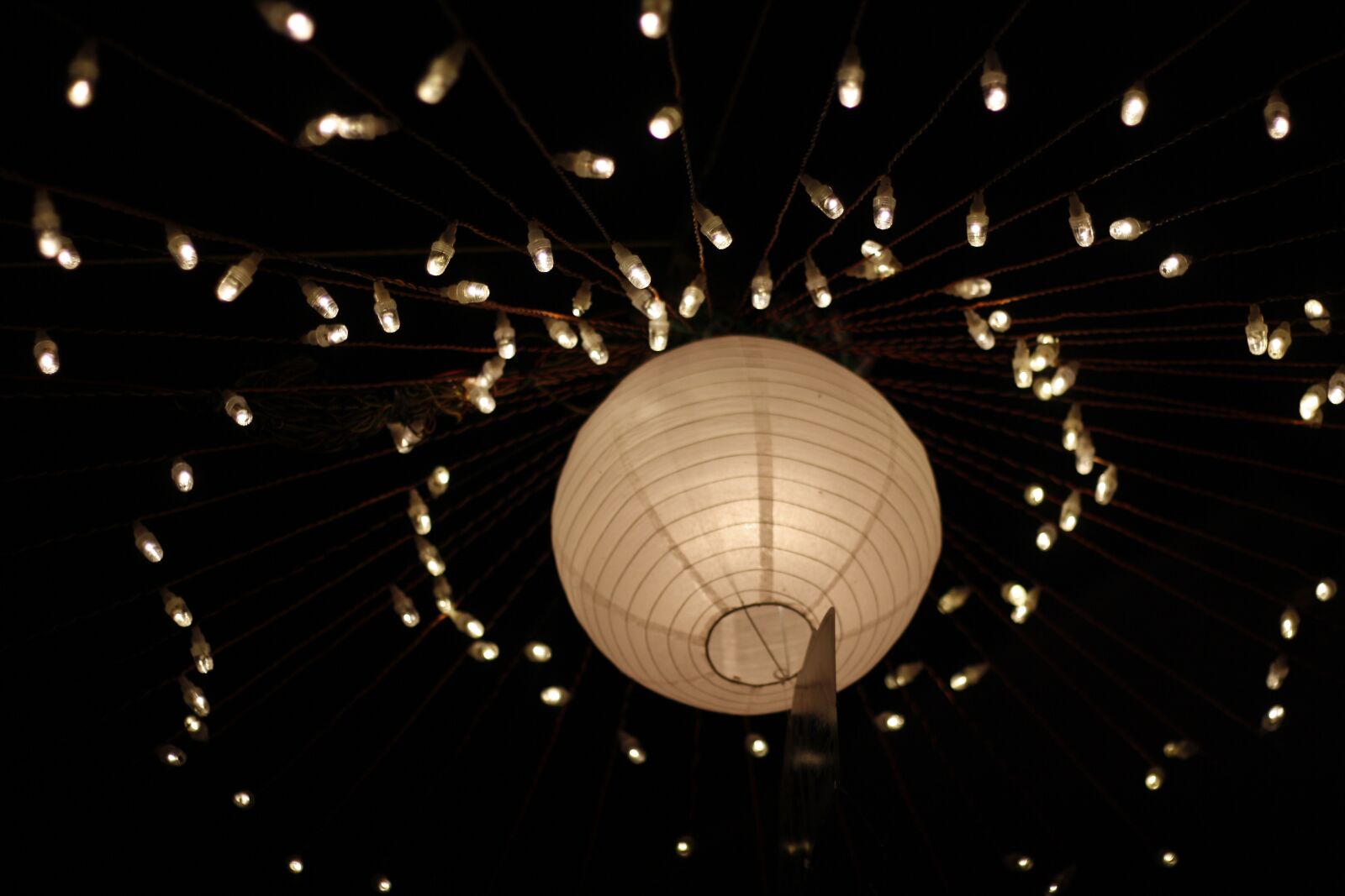 Canon EOS 1000D (EOS Digital Rebel XS / EOS Kiss F) sample photo. Lights, night, celebration photography