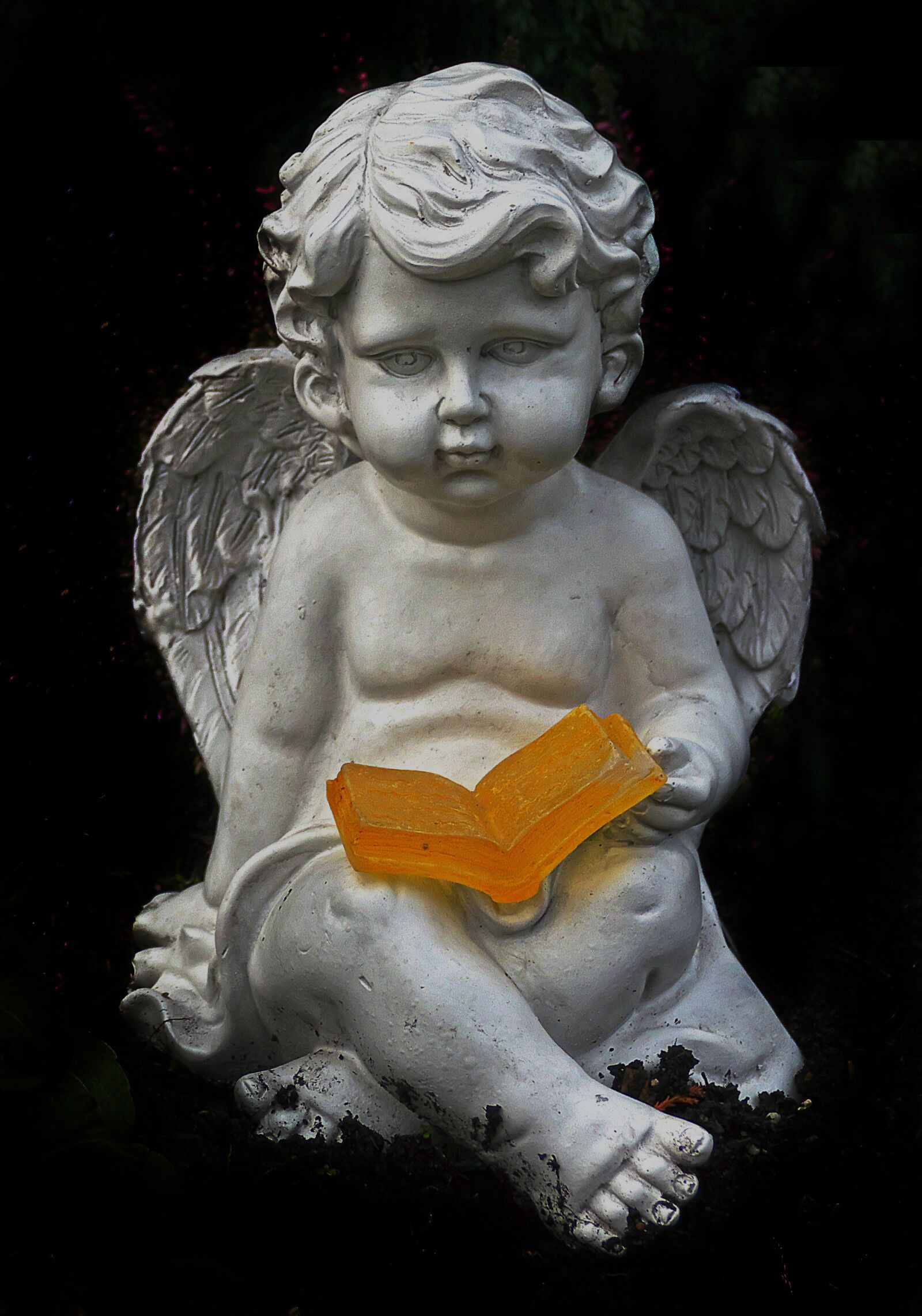 Panasonic Lumix DMC-FZ1000 sample photo. Angel, wing, book photography