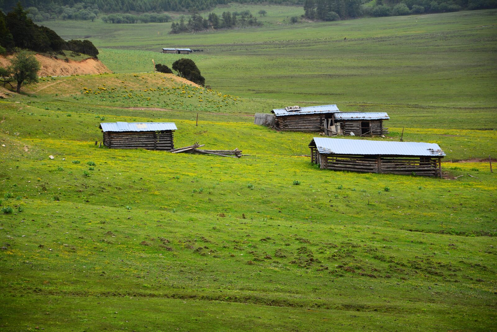 Nikon D7100 sample photo. The scenery, shangri-la's, pudacuo photography