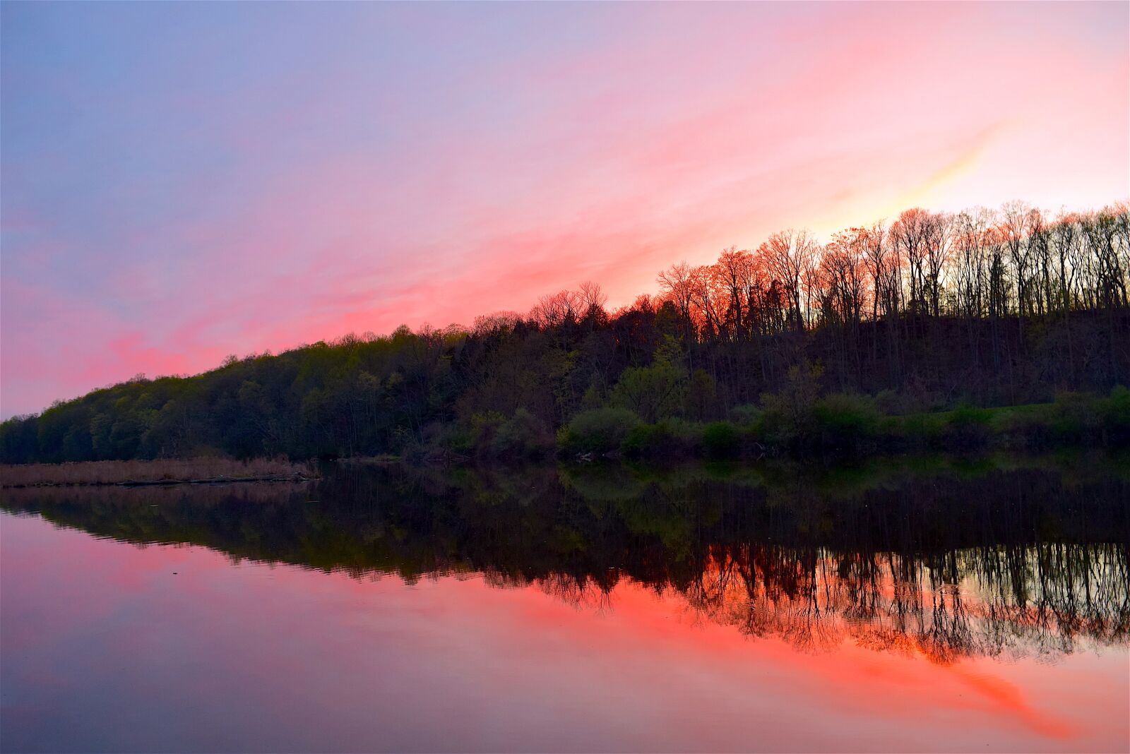 Nikon D3300 sample photo. Lake, sunset, trees photography