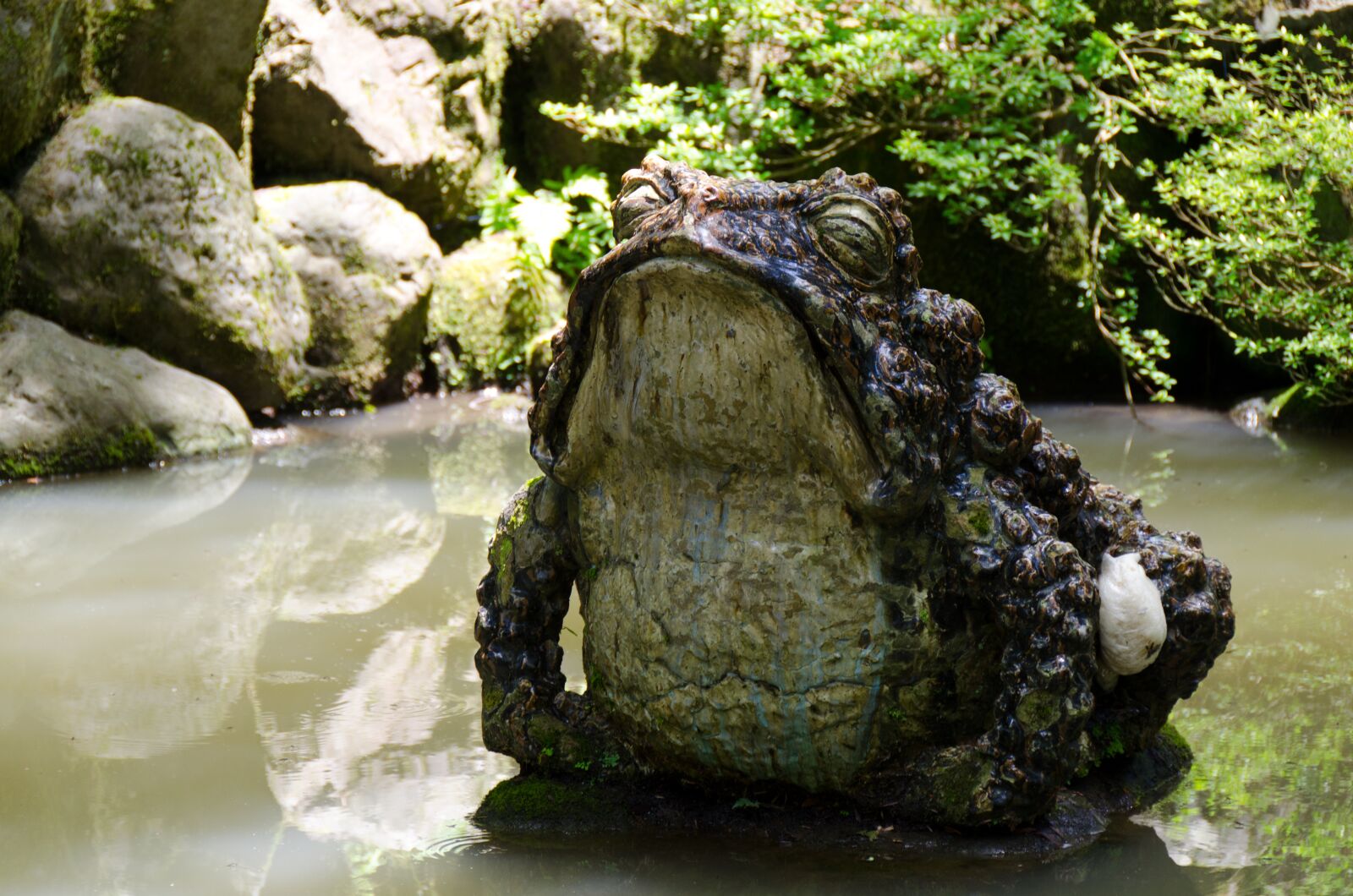 Nikon D7000 sample photo. Toad, peaceful, pond photography