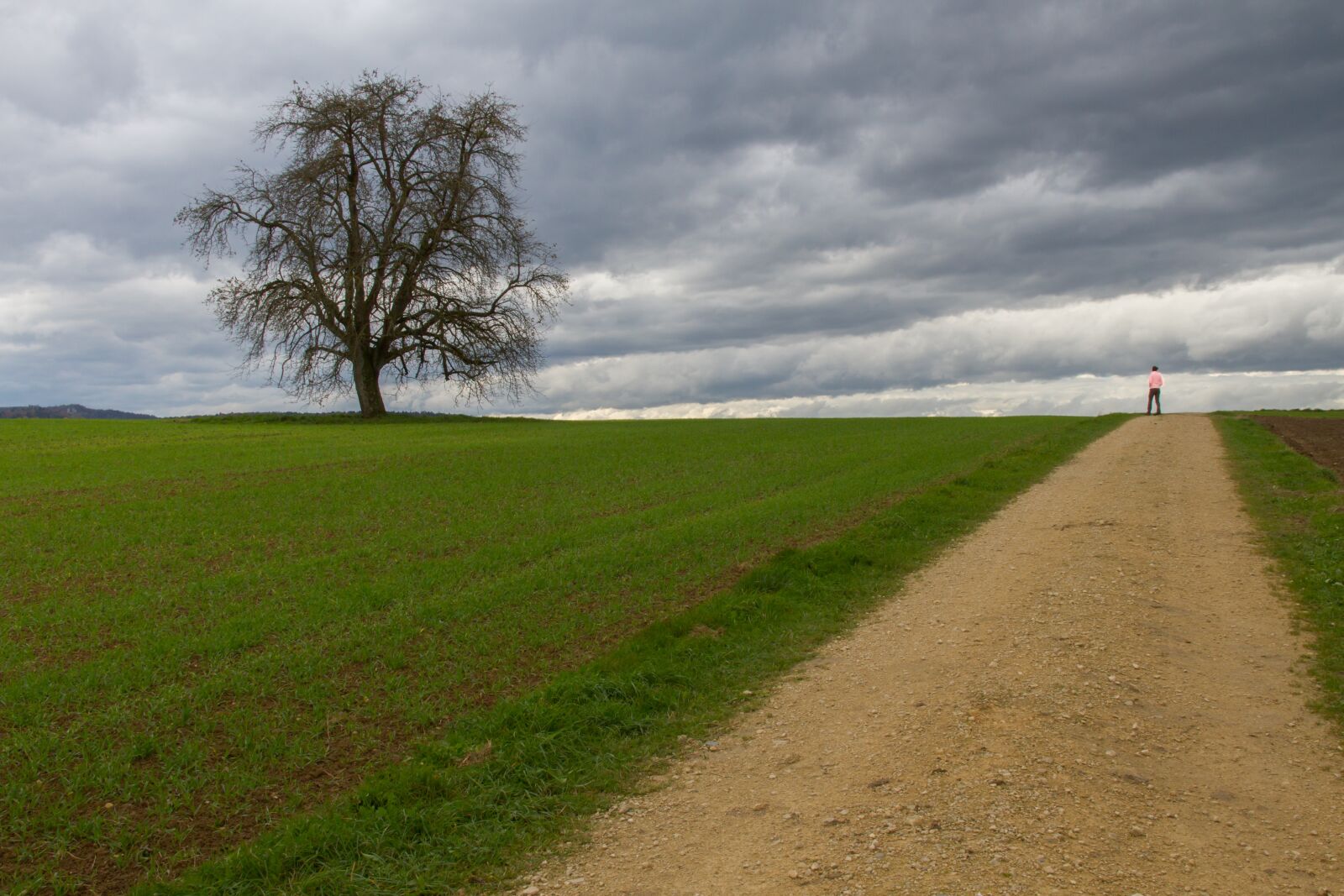 Canon EOS 7D sample photo. Autumn walk, lane, away photography